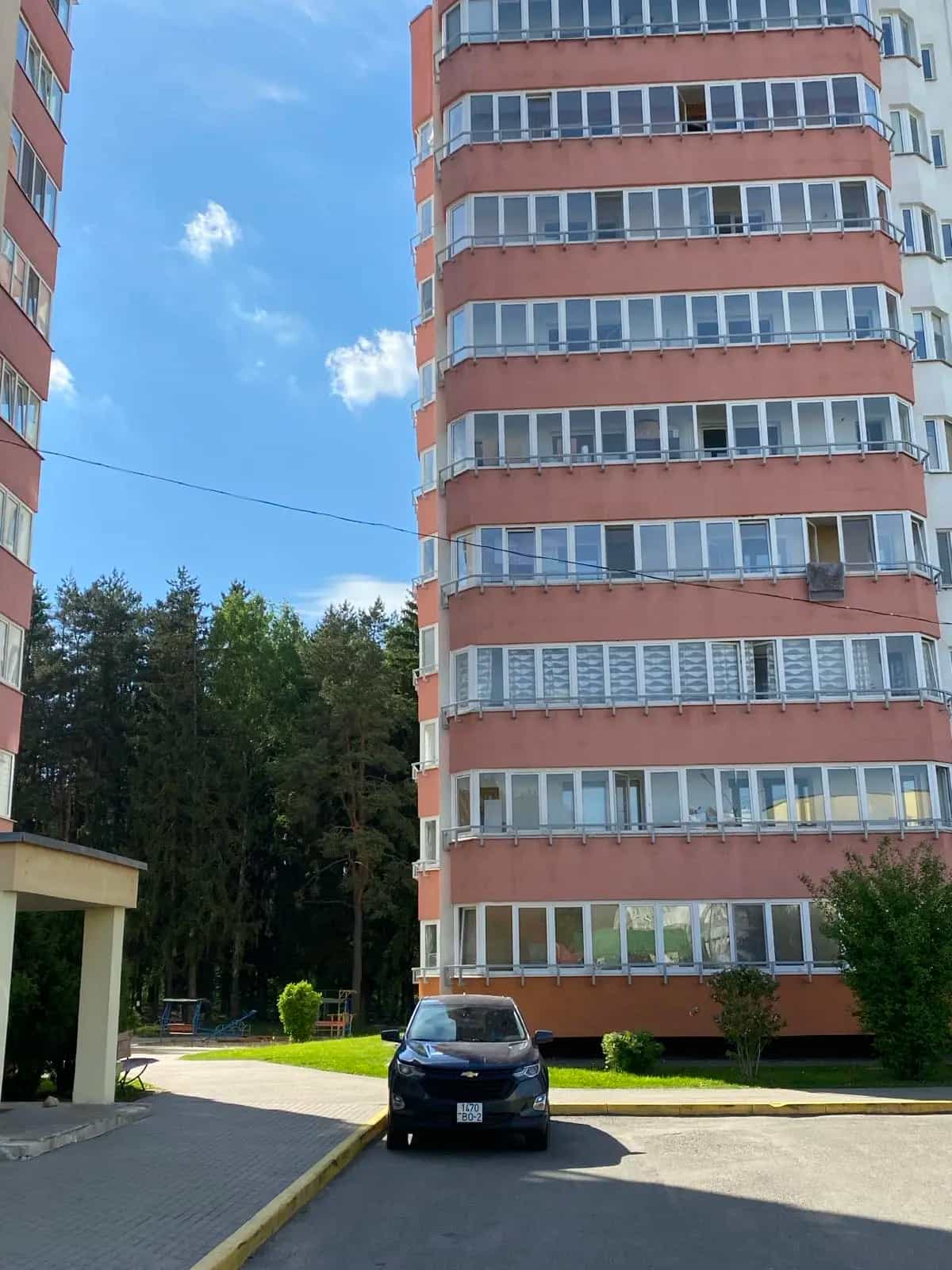 Беларусь, Минский район, деревня Боровляны, улица 40 лет Победы, 38, фото 14