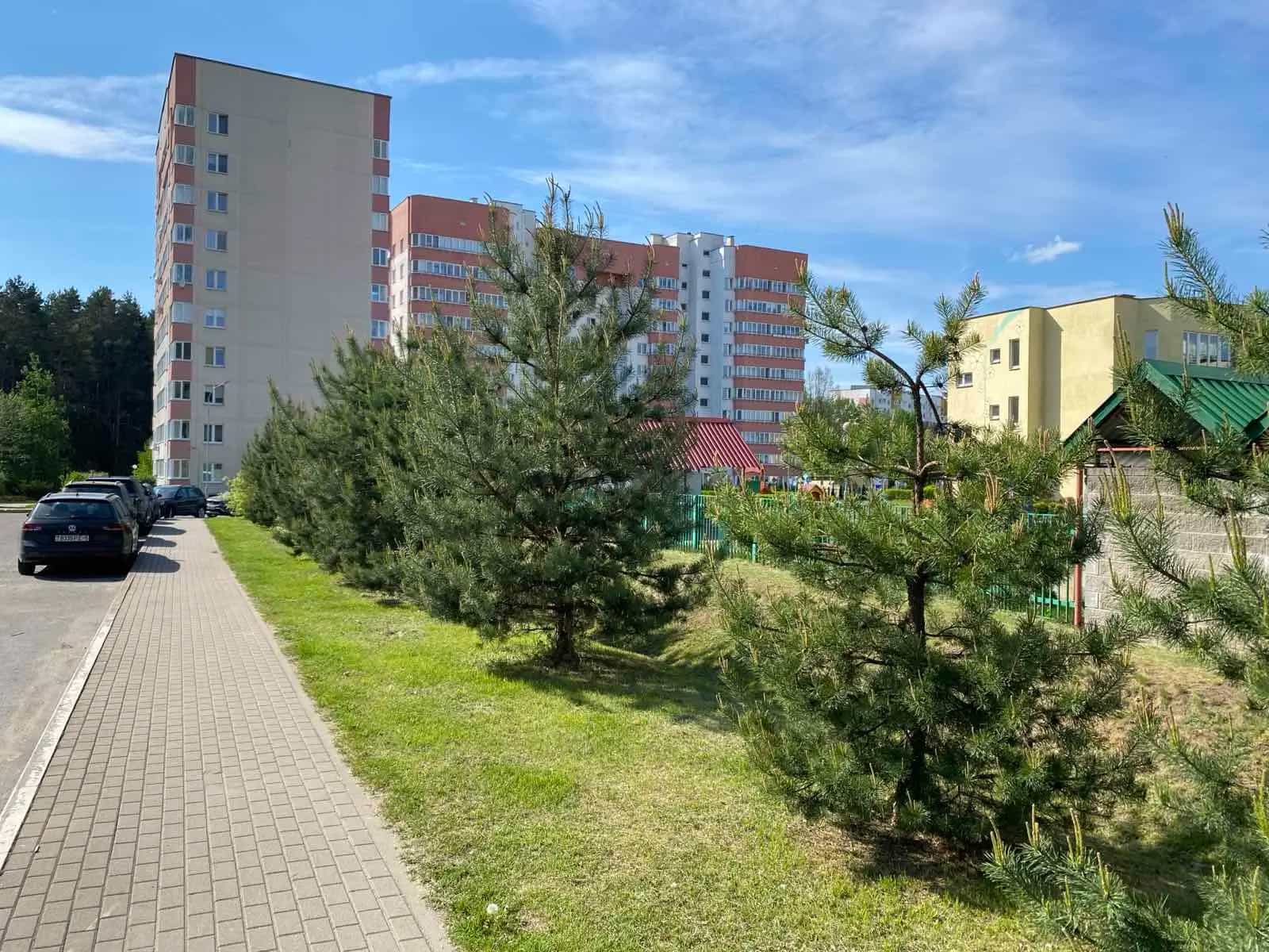 Беларусь, Минский район, деревня Боровляны, улица 40 лет Победы, 38, фото 15