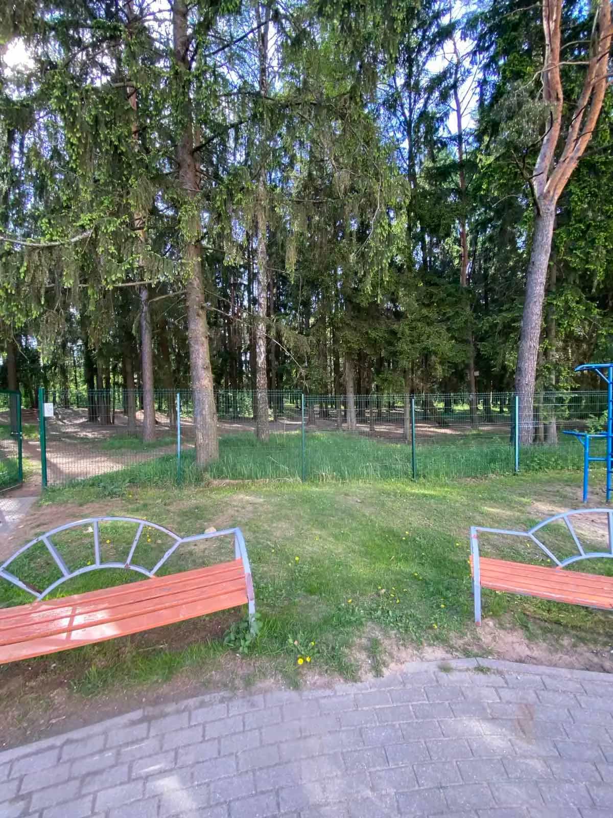 Беларусь, Минский район, деревня Боровляны, улица 40 лет Победы, 38, фото 19