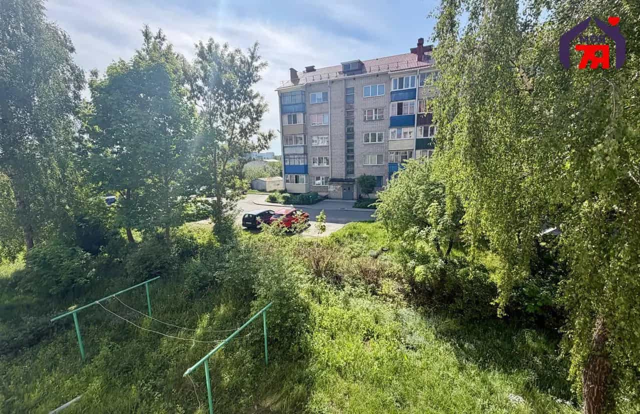 Беларусь, Минская область, Слуцк, улица Строителей, 4, фото 12