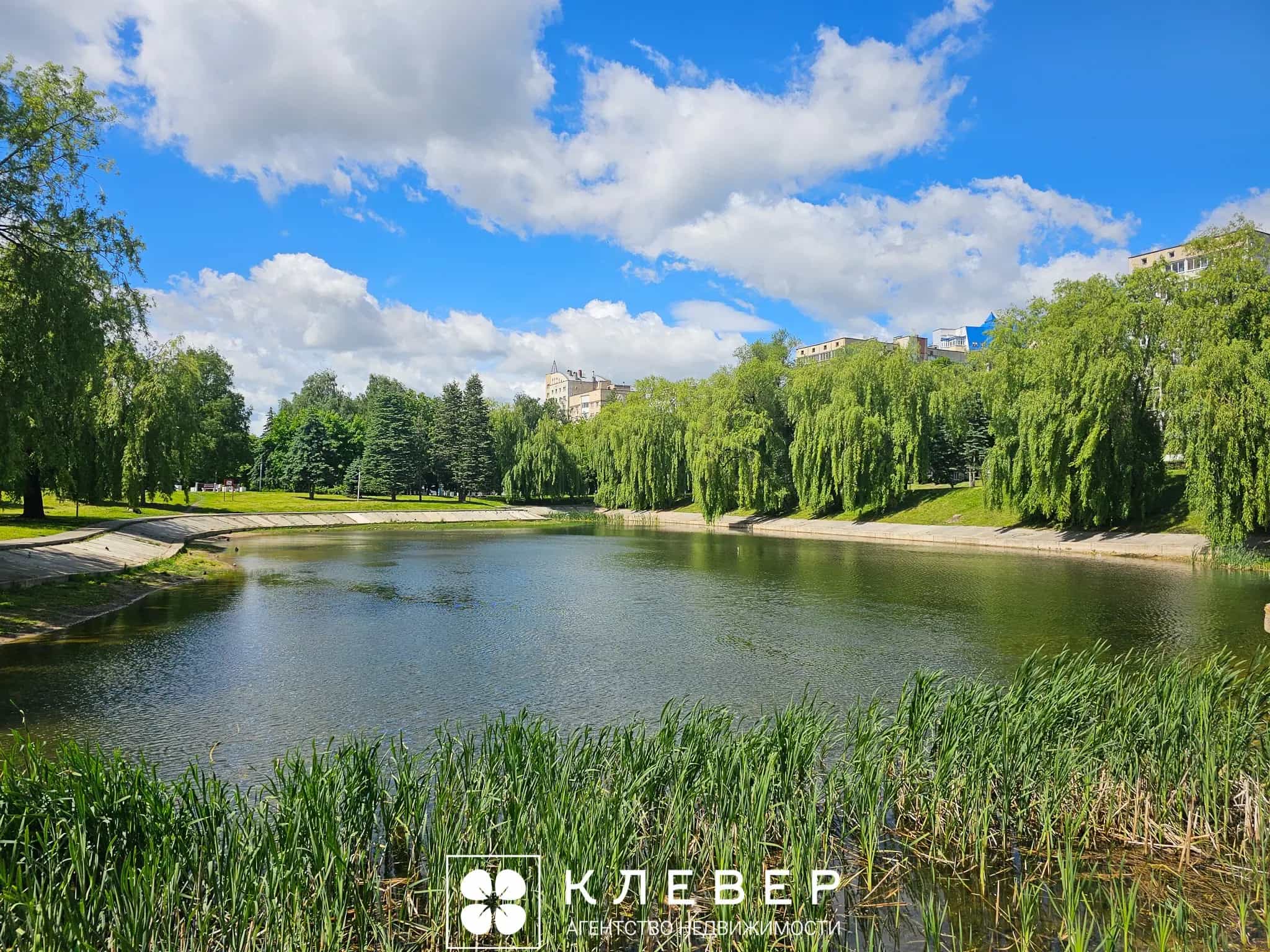 Беларусь, Минск, улица Болеслава Берута, 17к4, фото 46