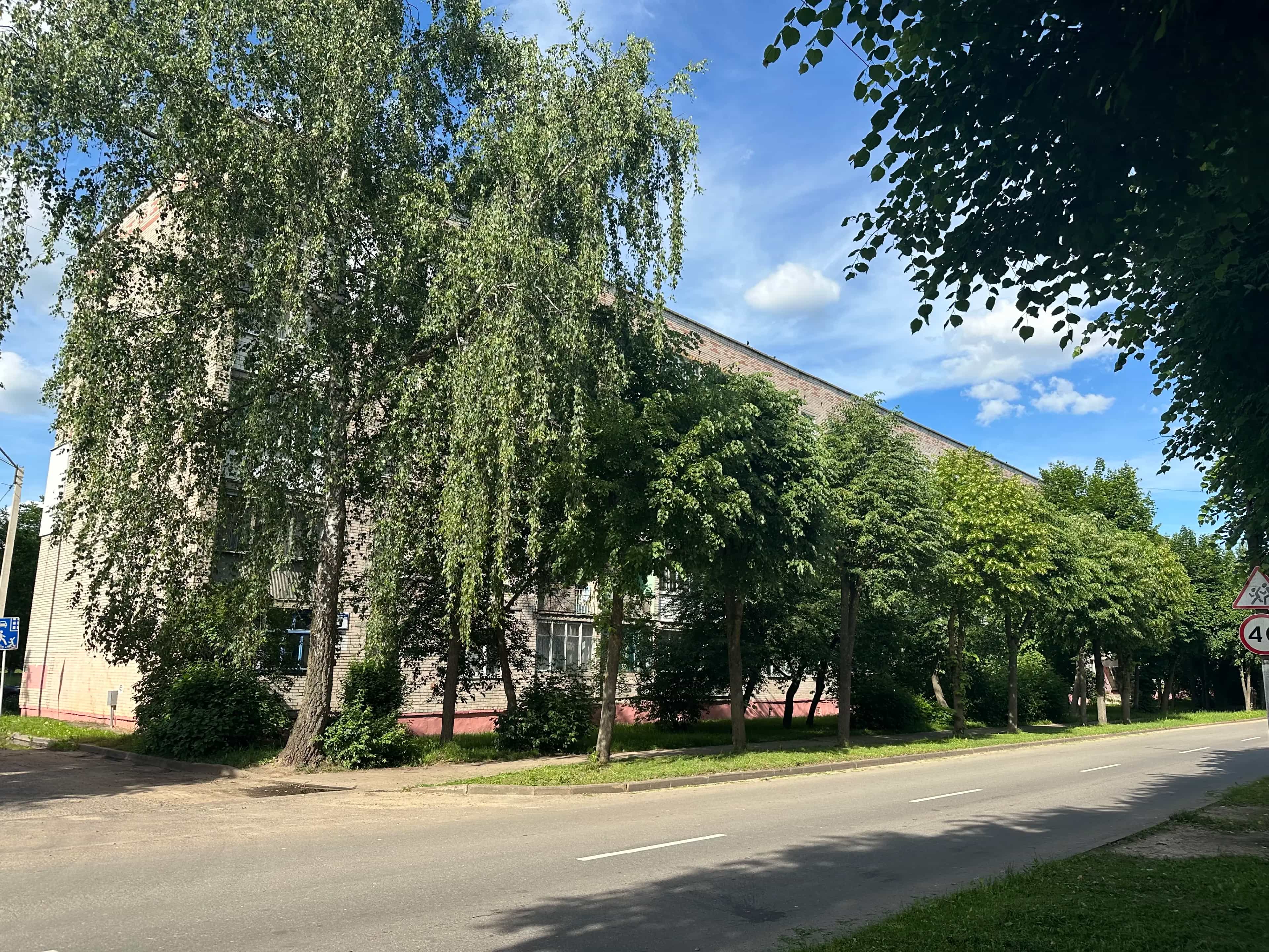 Беларусь, Витебская область, Оршанский район, Барань, улица Николая Островского, 3, фото 2