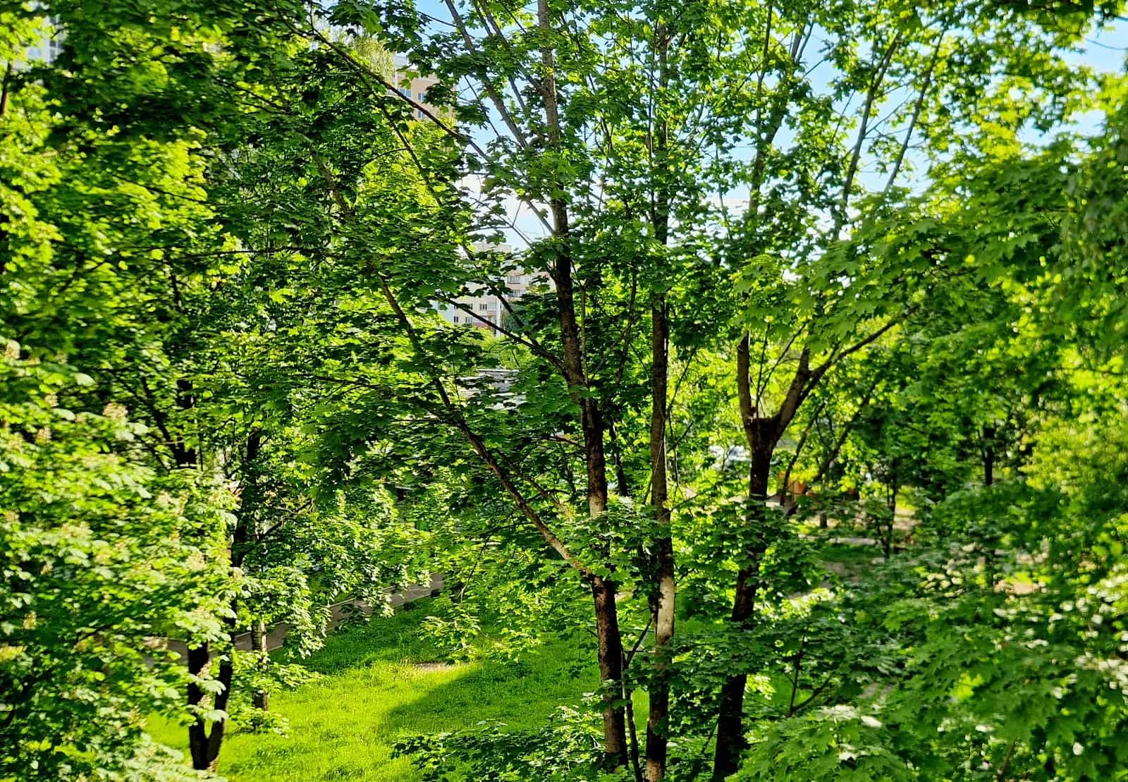 Беларусь, Минск, улица Янки Мавра, 34, фото 4
