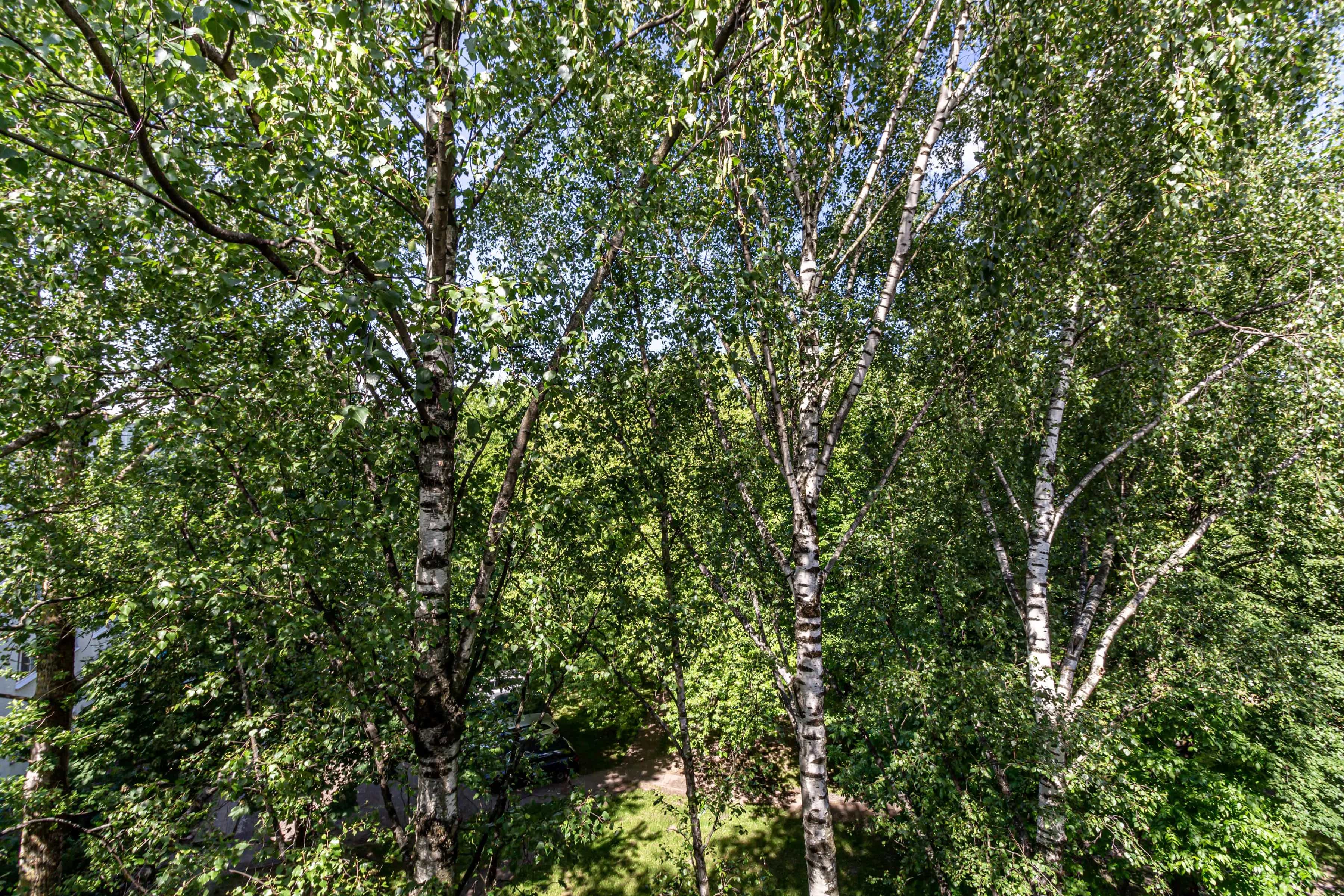 Беларусь, Минск, улица Янки Мавра, 34, фото 24