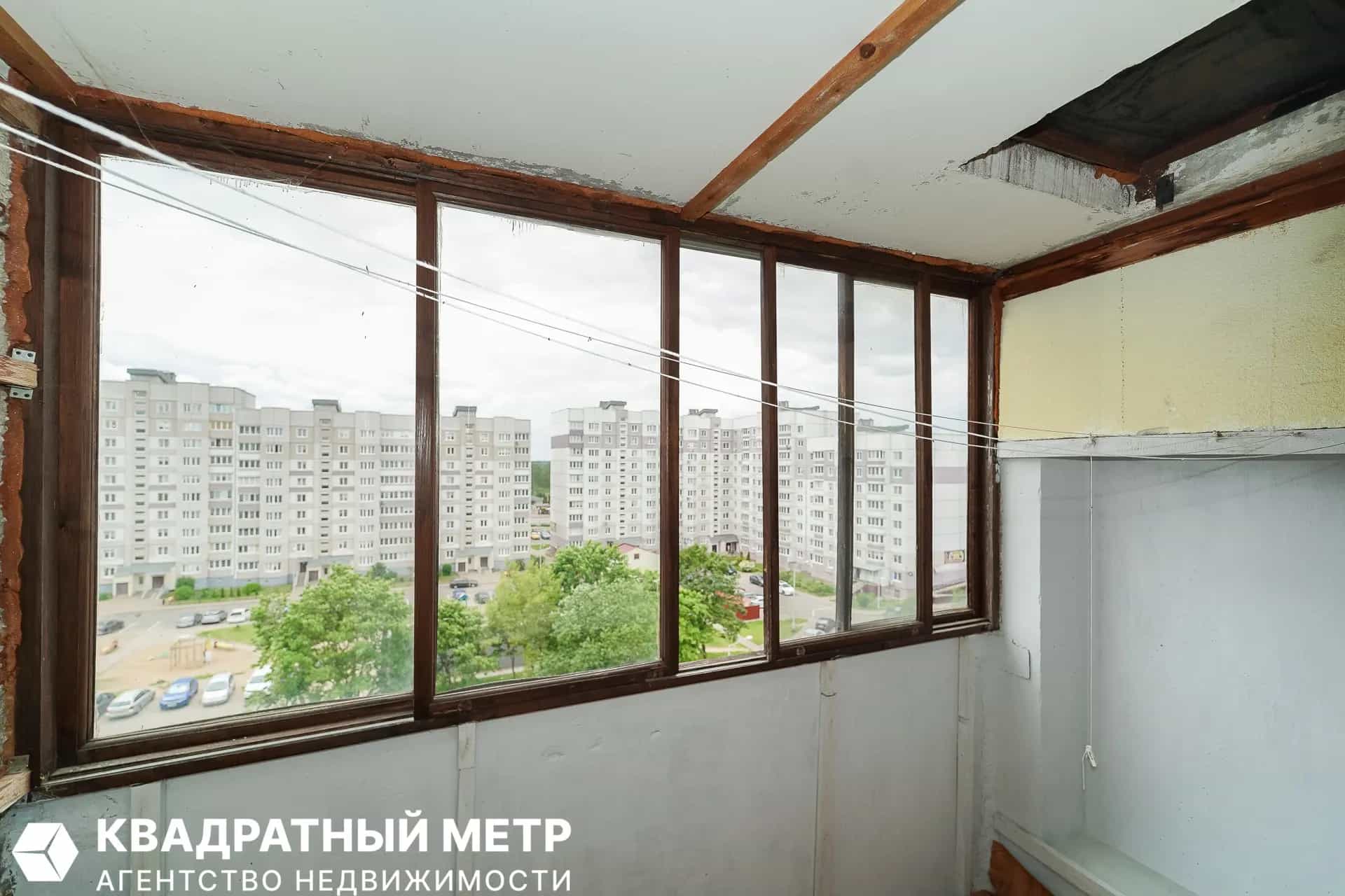 Беларусь, Минский район, Боровлянский сельсовет, агрогородок Лесной, Троицкая улица, 19, фото 11