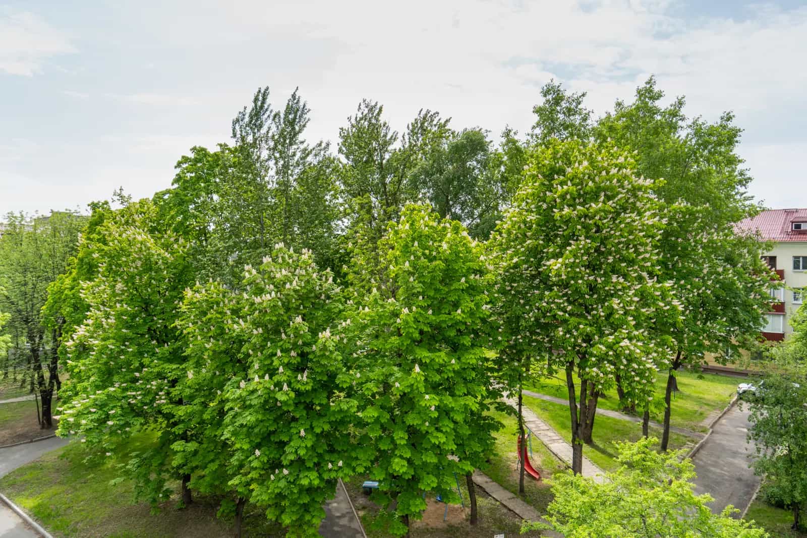 Беларусь, Минск, Партизанский проспект, 93Б, фото 7