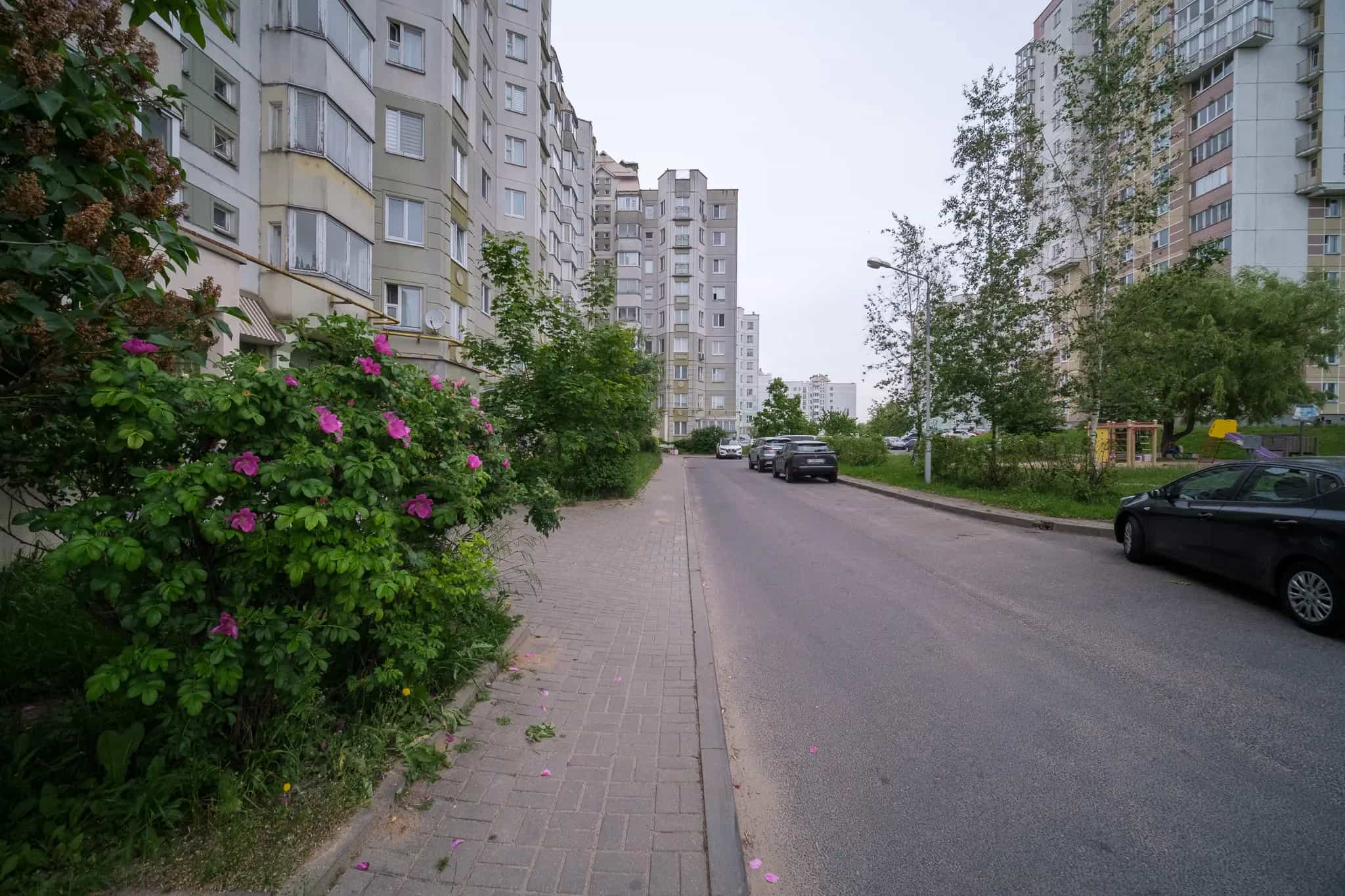Беларусь, Минск, улица Пимена Панченко, 70, фото 27