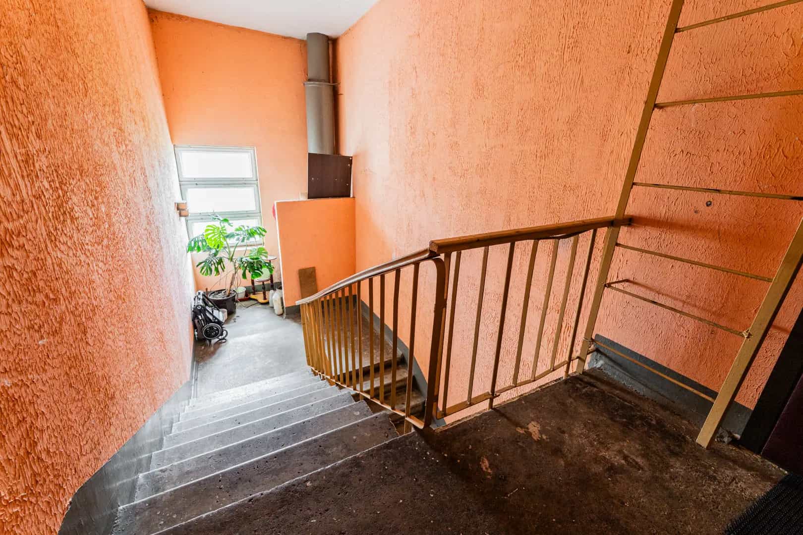Беларусь, Минский район, агрогородок Ждановичи, Парковая улица, 6, фото 23