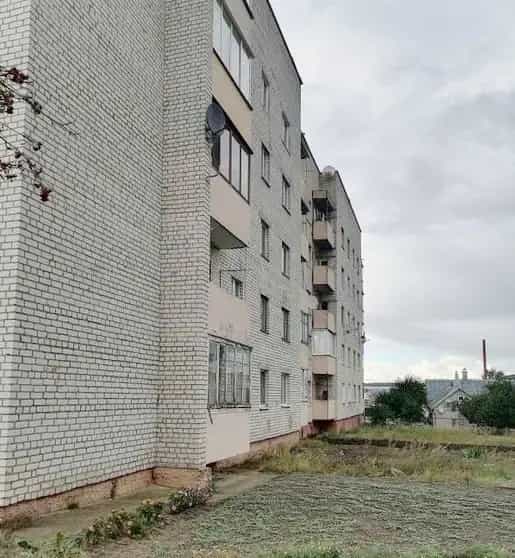 Беларусь, Гродненская область, Слоним, улица Пушкина, 69А, фото 10