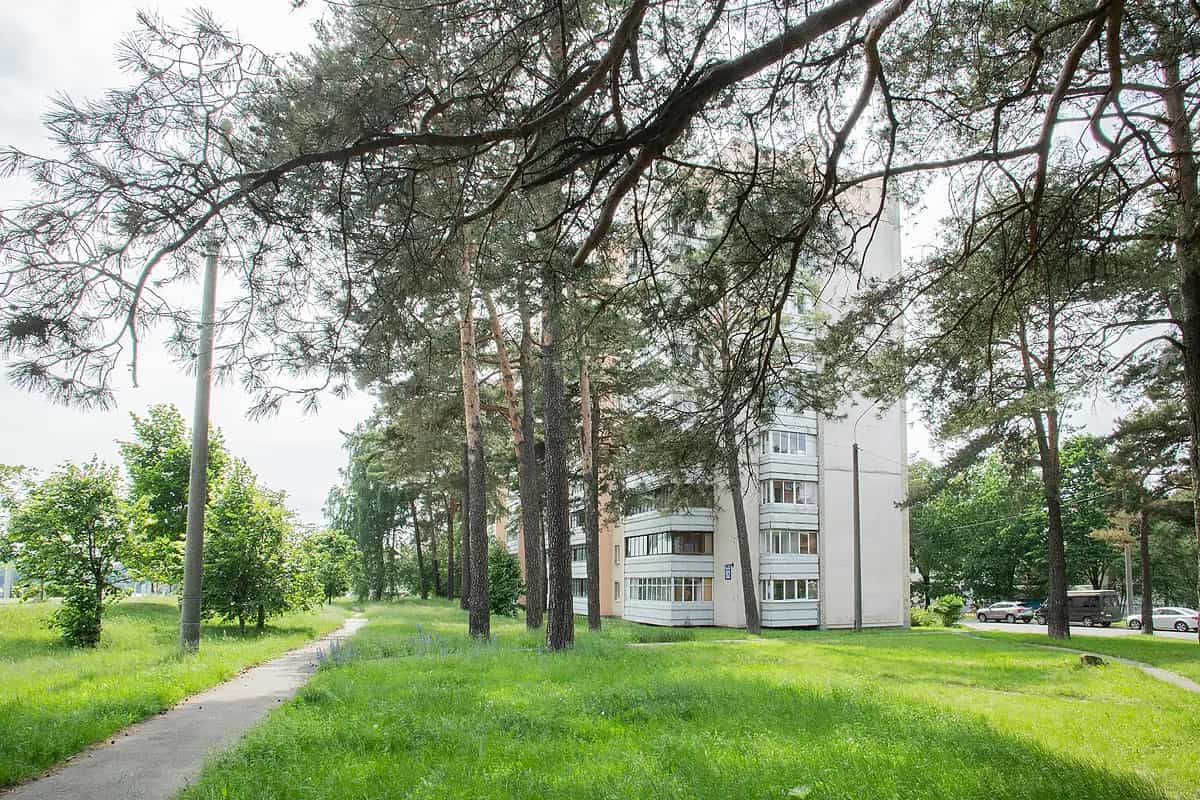 Беларусь, Минск, улица Кабушкина, 92, фото 27