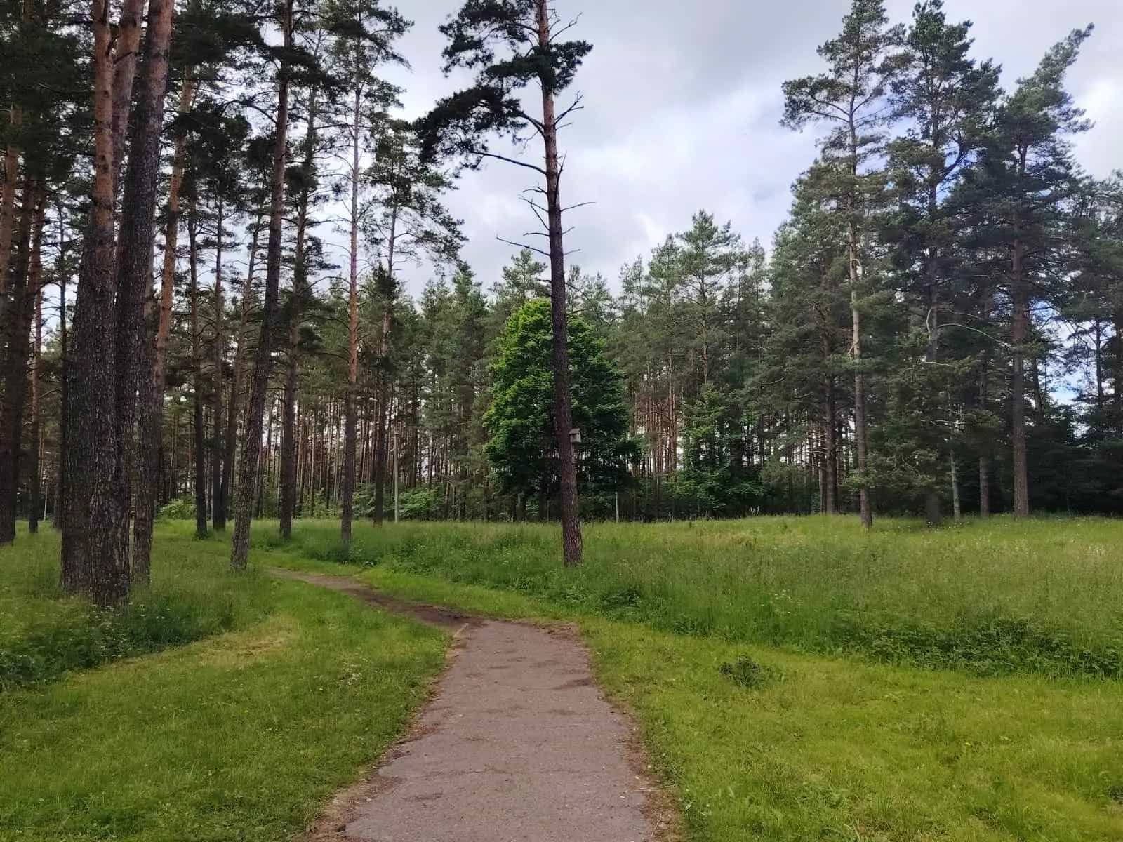 Беларусь, Минск, Геологическая улица, 121, фото 15