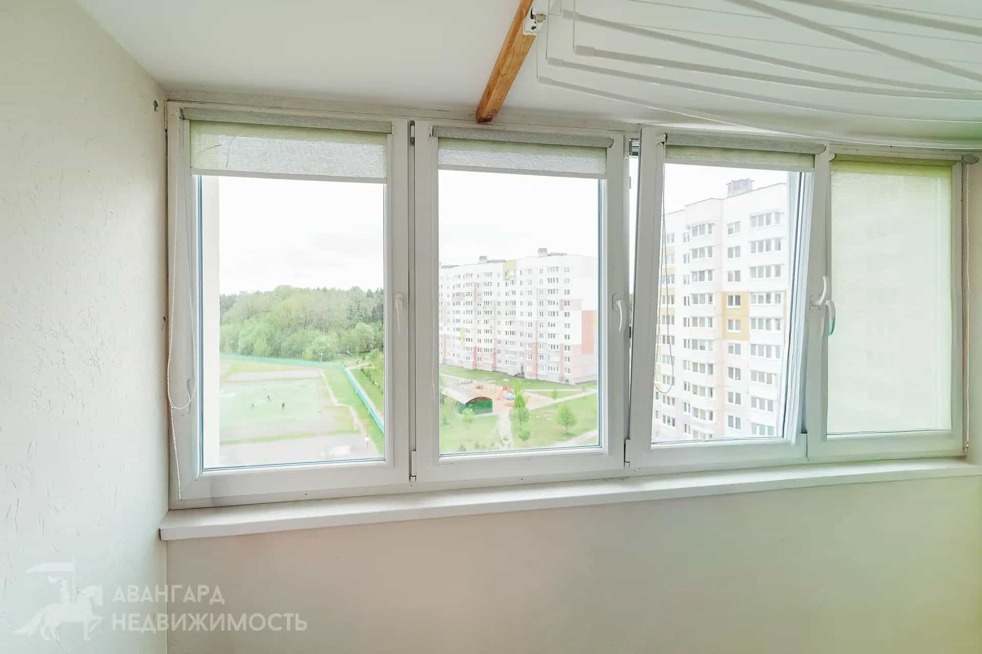 Беларусь, Минский район, деревня Боровляны, улица 40 лет Победы, 30Б, фото 8