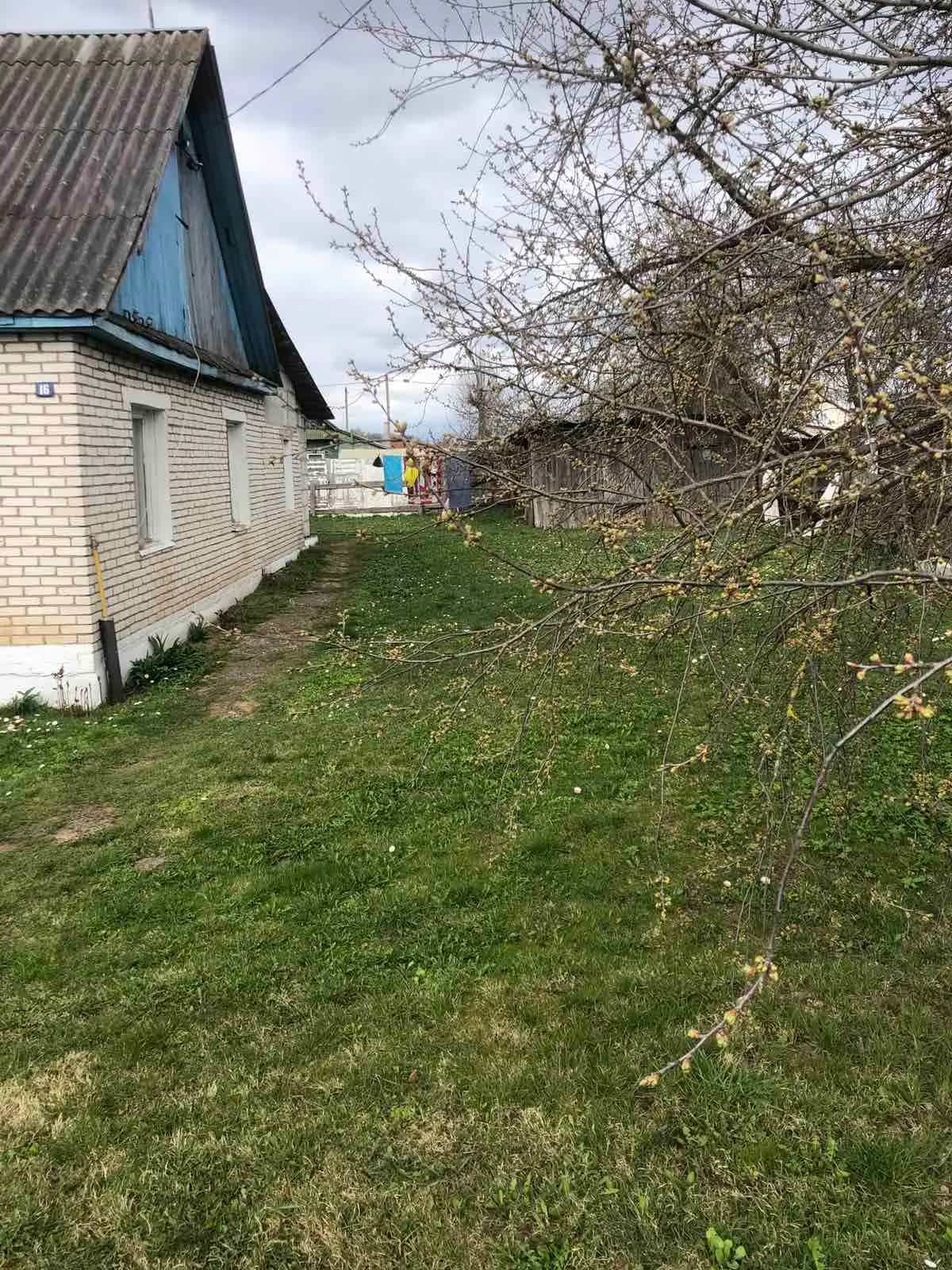 Беларусь, Минская область, Логойск, улица Освободителей, 16, фото 2