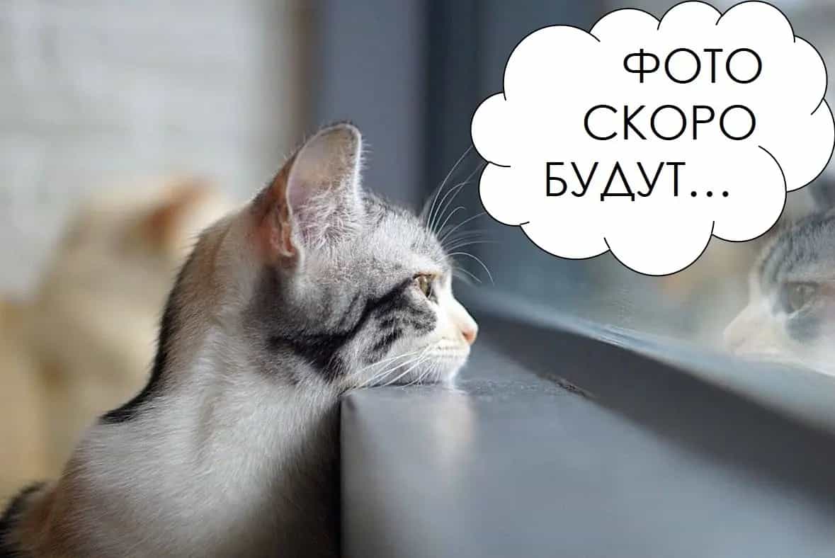 Беларусь, Минск, Байкальская улица, 45, фото 3