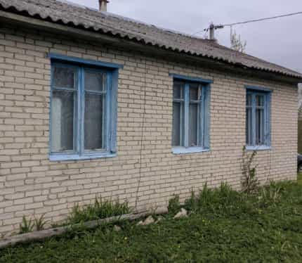Беларусь, Витебская область, Городокский район, агрогородок Пальминка, Набережная улица, 3, фото 2