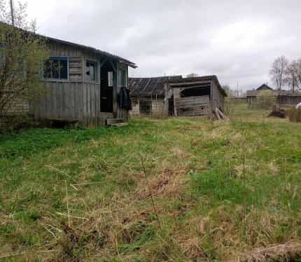Беларусь, Витебская область, Городокский район, агрогородок Пальминка, Набережная улица, 3, фото 5