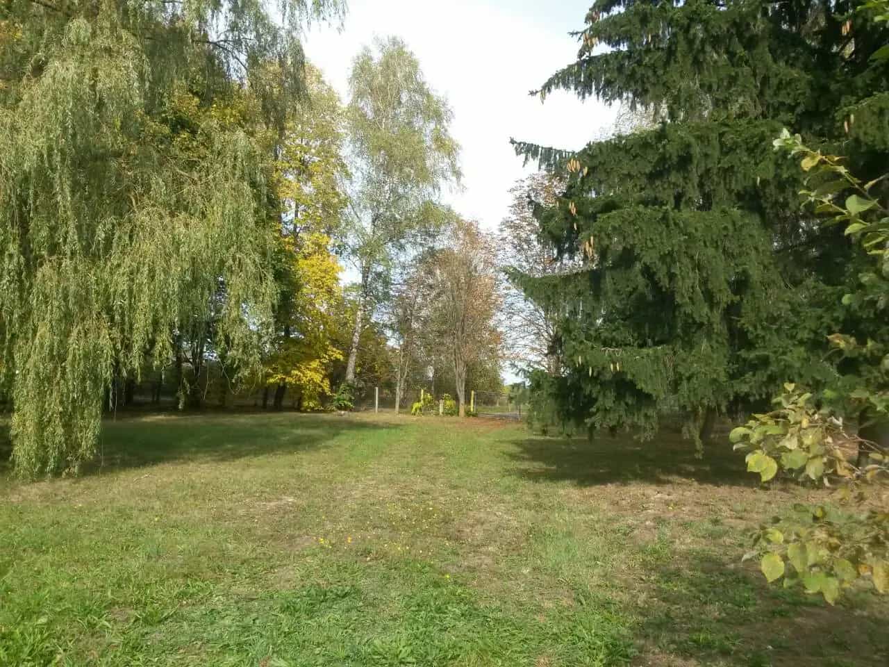Беларусь, Гродненская область, Зельвенский район, Каролинский сельсовет, деревня Тулово, 79Б, фото 7