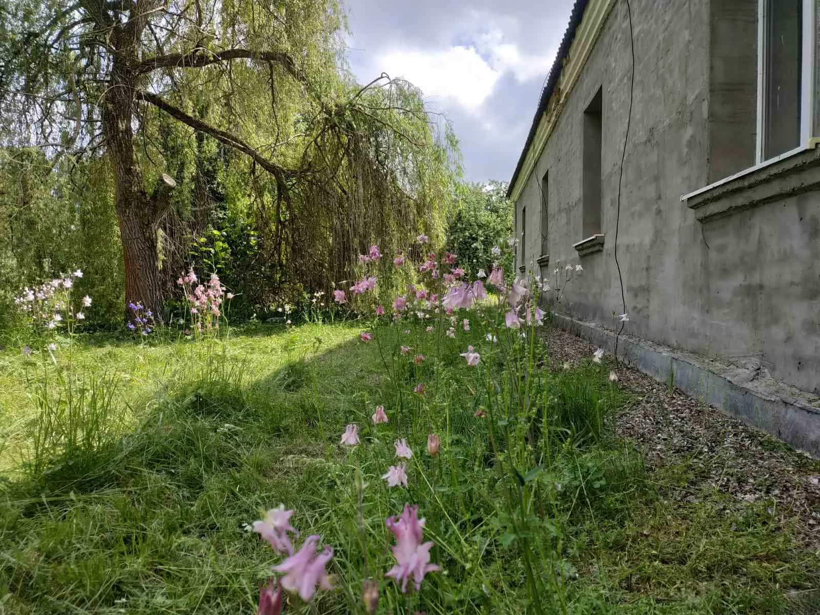 Беларусь, Гродненская область, Зельвенский район, Каролинский сельсовет, деревня Тулово, 79Б, фото 9