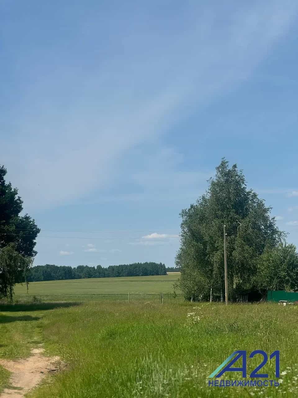 Беларусь, Могилёвская область, Кировский район, Мышковичский сельсовет, деревня Козуличи, Октябрьская улица, 115