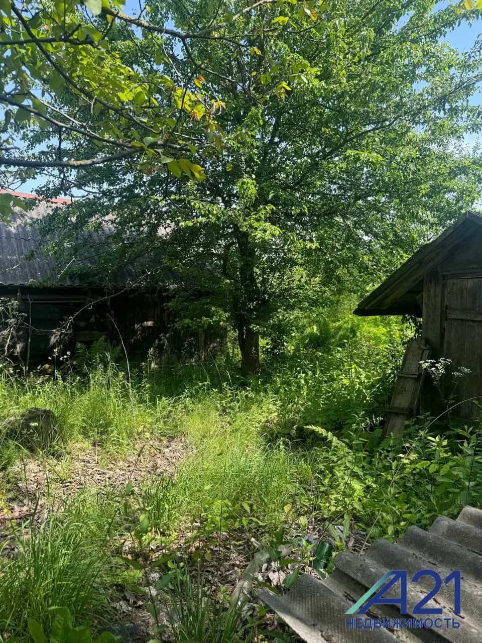 Беларусь, Могилёвская область, Кировский район, Мышковичский сельсовет, деревня Козуличи, Октябрьская улица, 115, фото 2