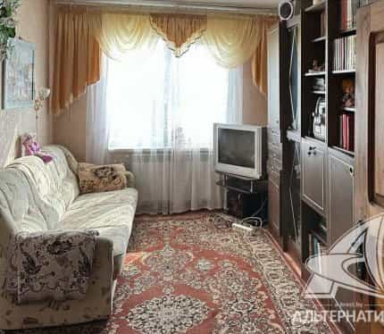 Беларусь, Брестский район, Томашовский сельсовет, деревня Приборово, Центральная улица, 57, фото 3