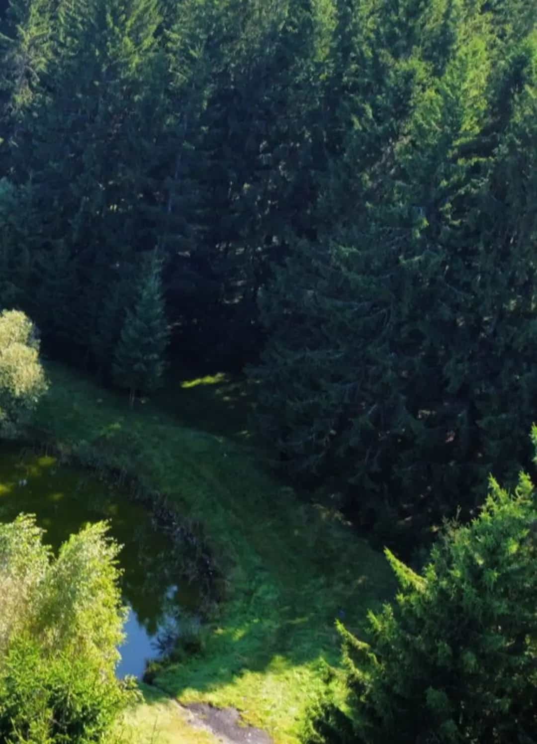 Беларусь, Минский район, агрогородок Колодищи, Сиреневая улица, 39, фото 12