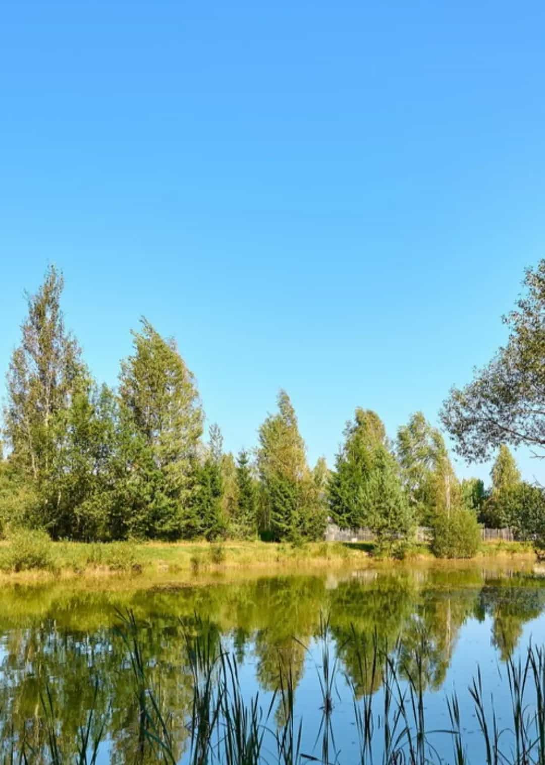 Беларусь, Минский район, агрогородок Колодищи, Сиреневая улица, 39, фото 13