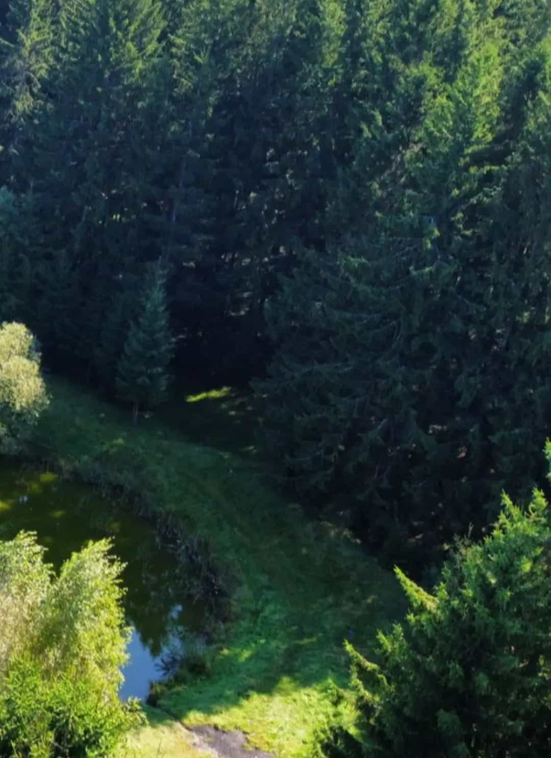 Беларусь, Минский район, агрогородок Колодищи, Сиреневая улица, 39, фото 14
