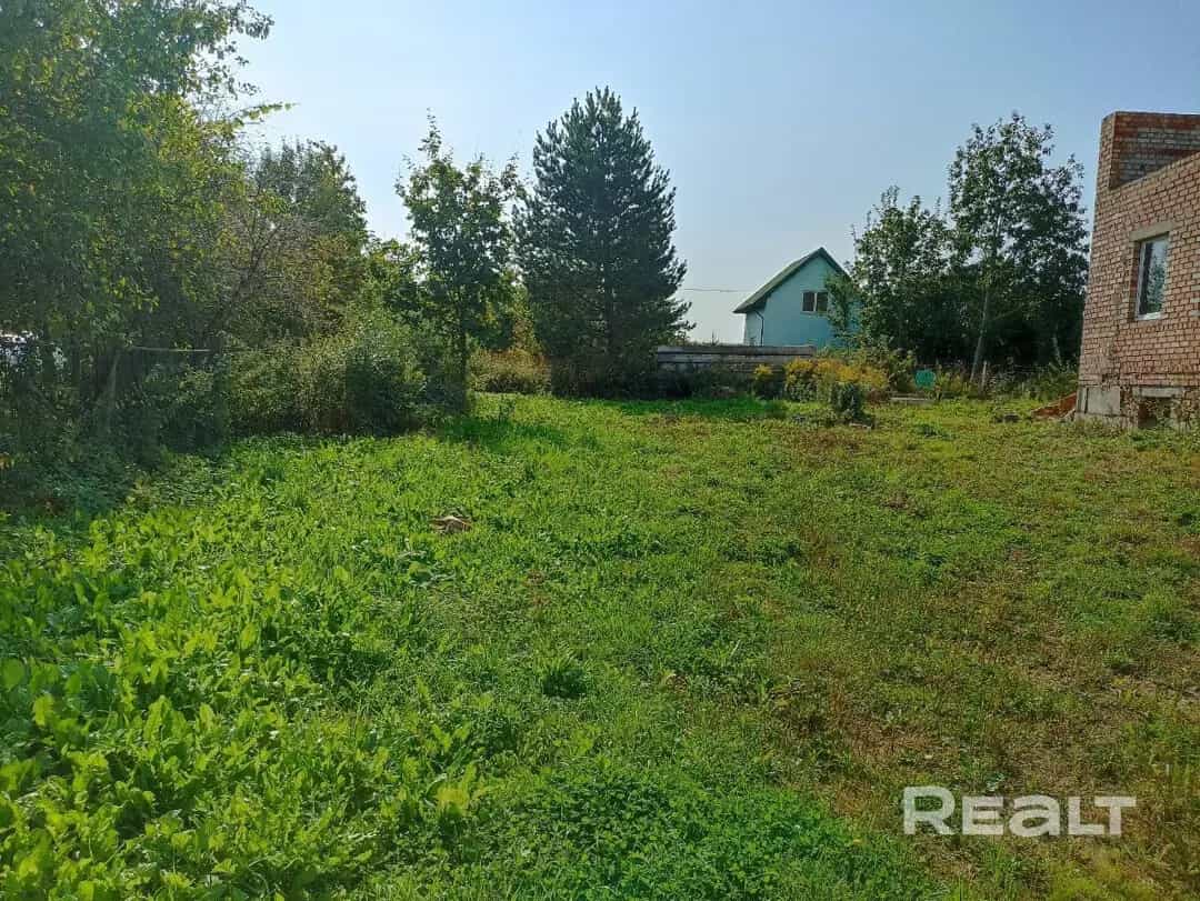 Беларусь, Минский район, Петришковский сельсовет, деревня Анусино, Луговая улица, 7, фото 2