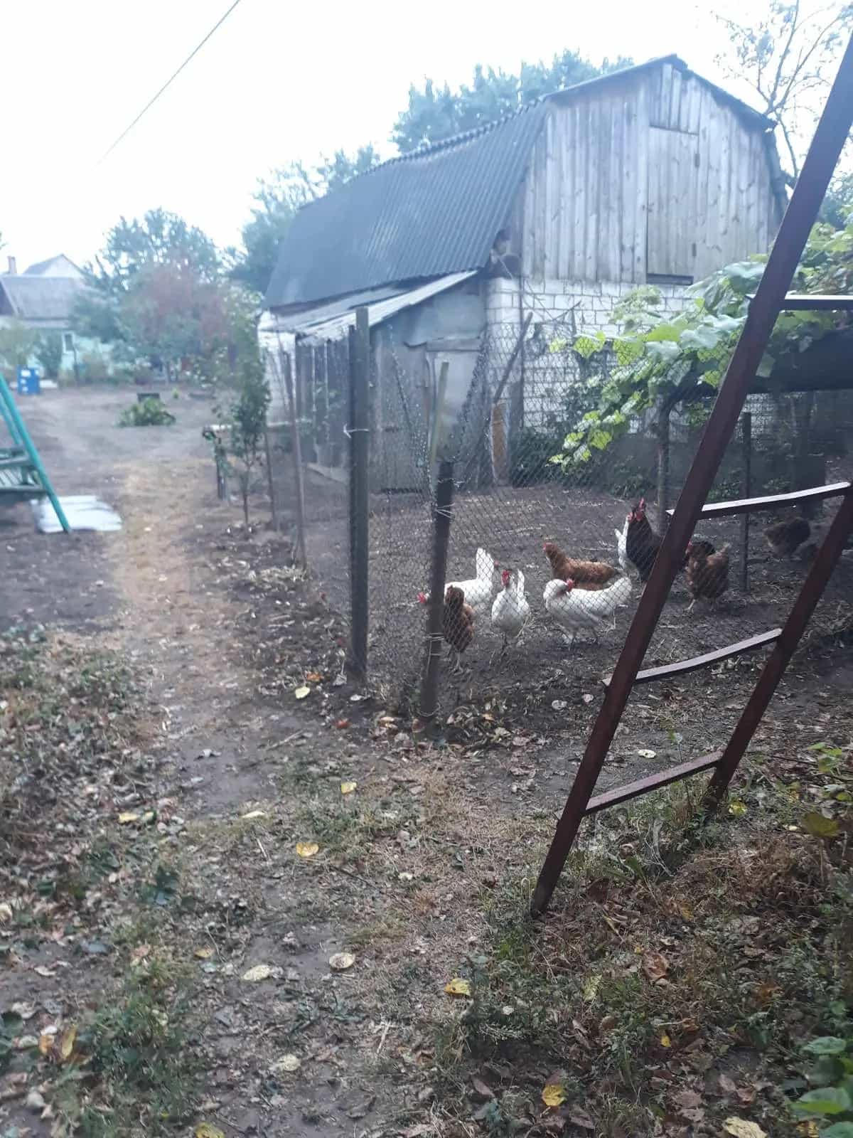 Беларусь, Гомель, Ярославская улица, 10, фото 7