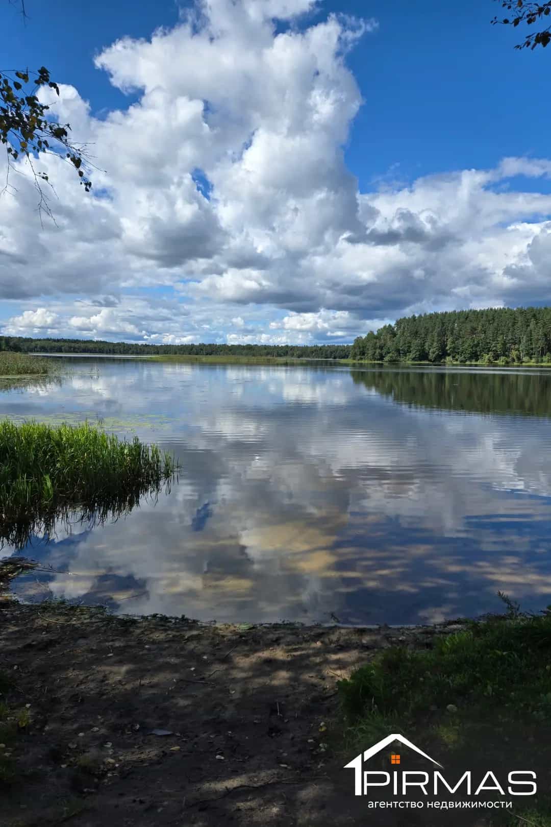 Беларусь, Минская область, Крупский район, Октябрьский сельсовет, деревня Дубы, Центральная улица, 14, фото 24
