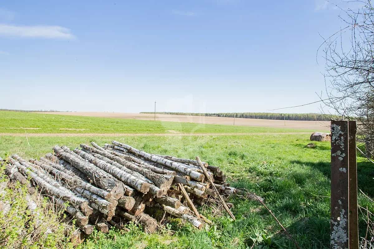 Беларусь, Минская область, Борисовский район, Пригородный сельсовет, деревня Борки, Первомайская улица, 23, фото 16