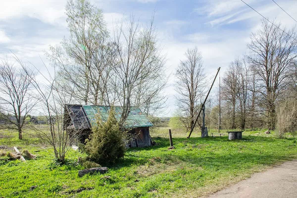 Беларусь, Минская область, Борисовский район, Пригородный сельсовет, деревня Борки, Первомайская улица, 23, фото 21