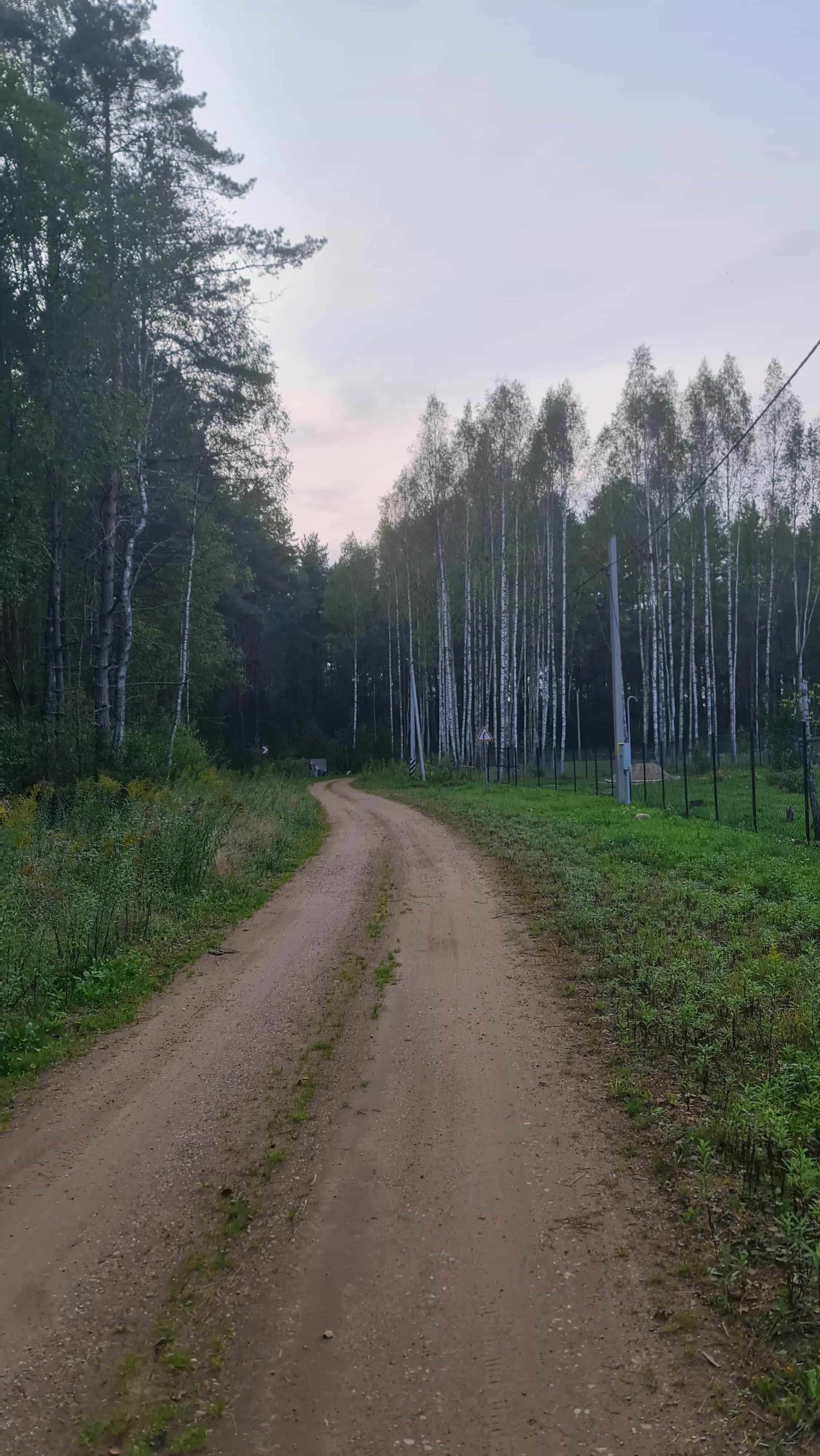 Беларусь, Минская область, Логойский район, Швабский сельсовет, деревня Молоди, Лесной переулок, 12, фото 12