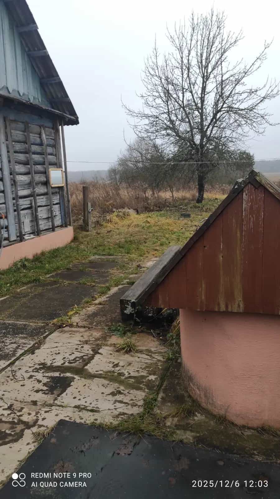 Беларусь, Минская область, Червенский район, Колодежский сельсовет, деревня Анаполье, Революционная улица, 13, фото 10