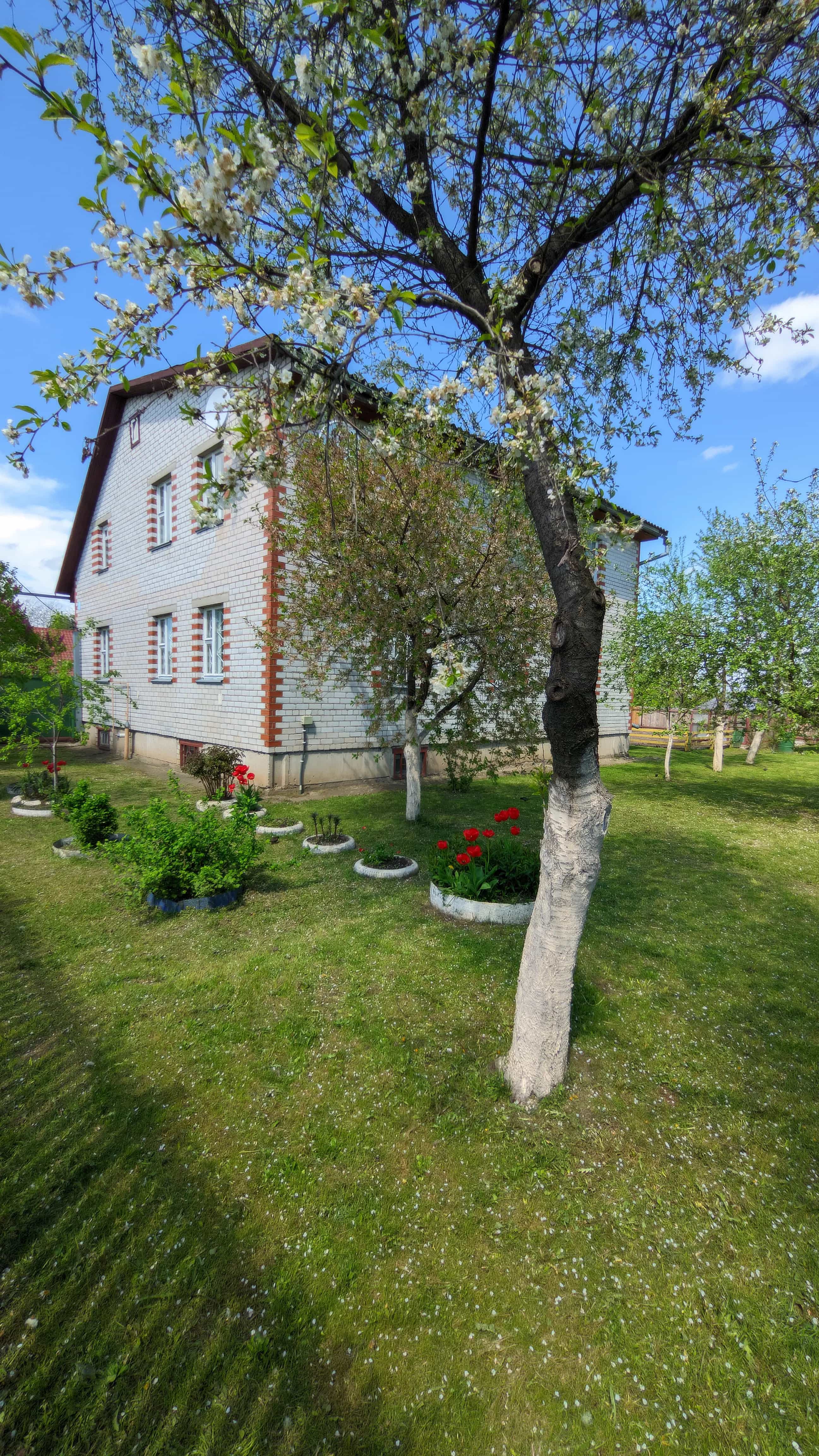 Беларусь, Витебская область, Полоцк, улица Радищева, 17, фото 26