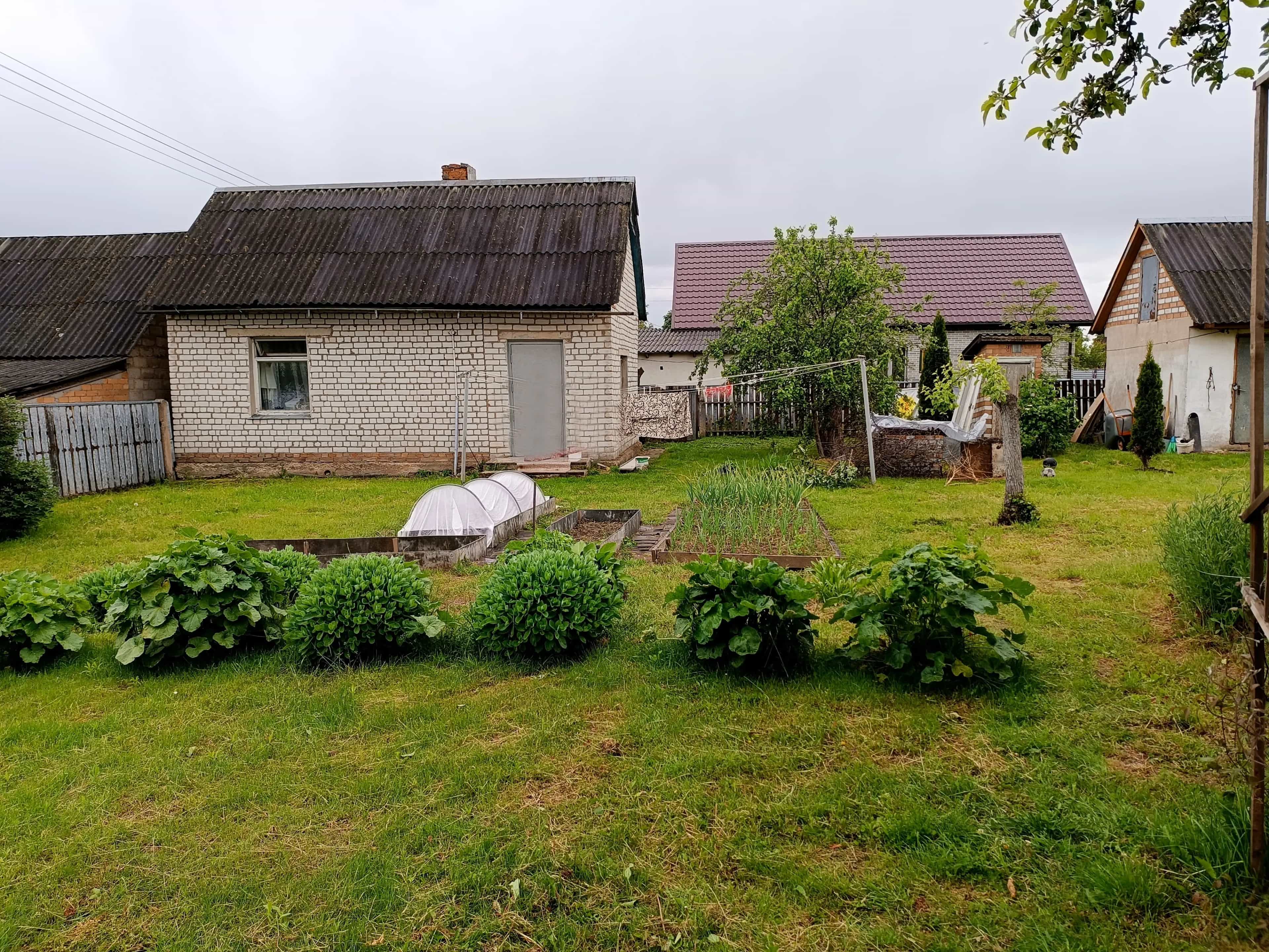 Беларусь, Минский район, Папернянский сельсовет, агрогородок Большевик, Зелёная улица, 20, фото 24
