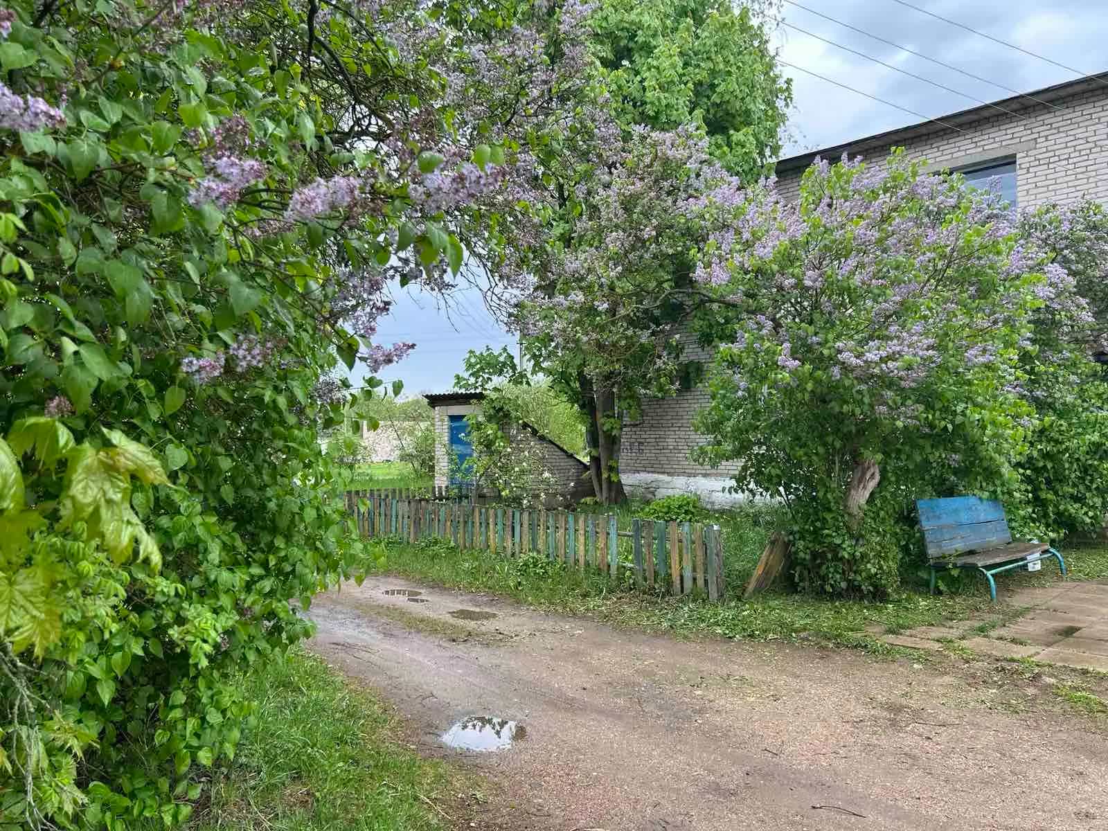 Беларусь, Минская область, Узденский район, Хотлянский сельсовет, посёлок Новый Путь, Центральная улица, 38, фото 18
