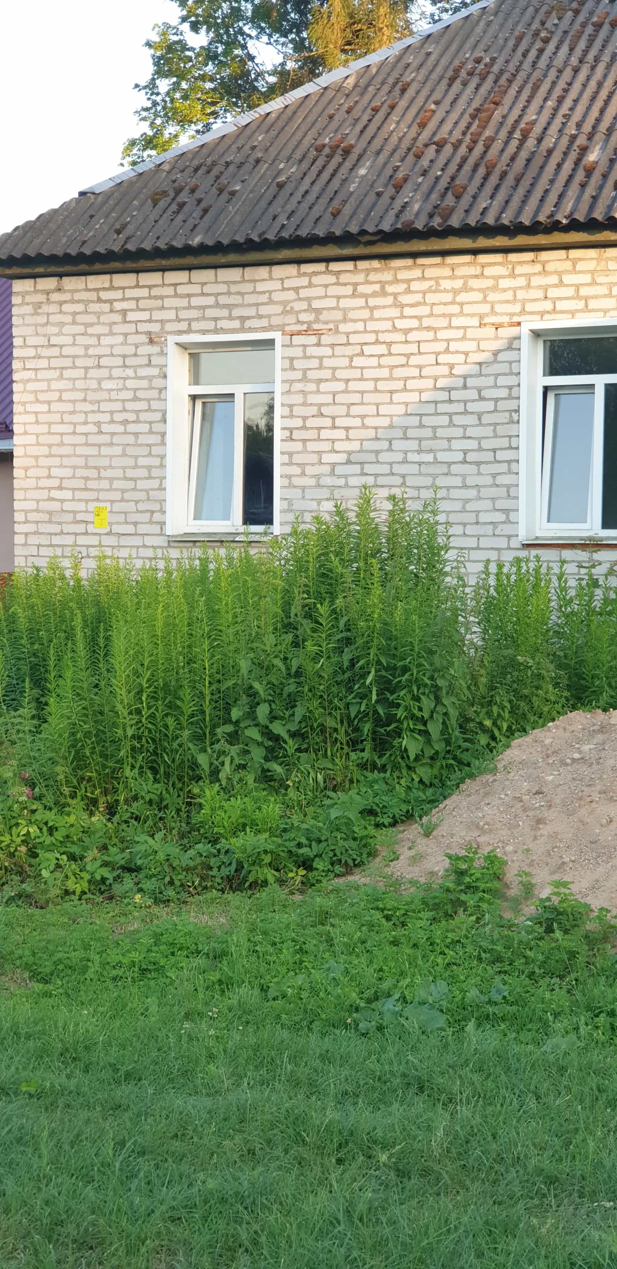 Беларусь, Минская область, Дзержинский район, Негорельский сельсовет, посёлок Городище, Ботаническая улица, 1, фото 2