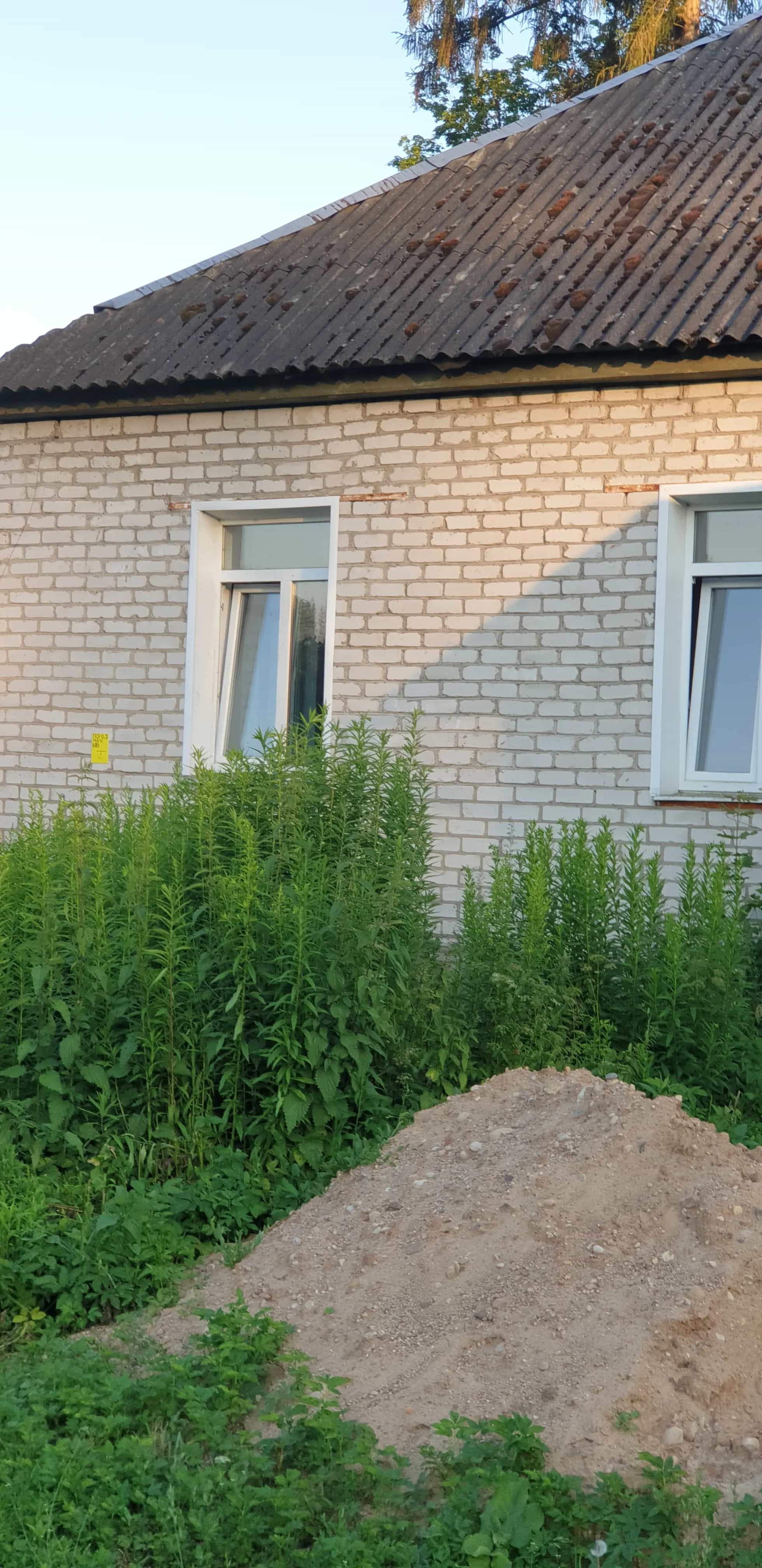 Беларусь, Минская область, Дзержинский район, Негорельский сельсовет, посёлок Городище, Ботаническая улица, 1, фото 6