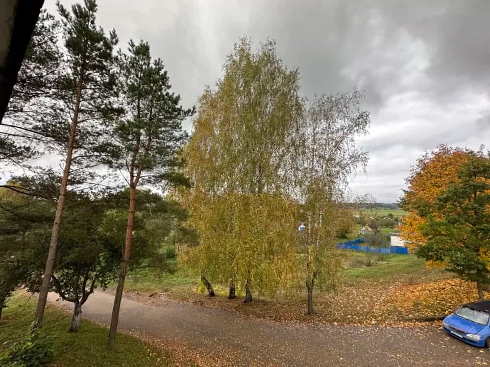 Беларусь, Гродненская область, Кореличский район, агрогородок Цирин, Школьная улица, 1, фото 8