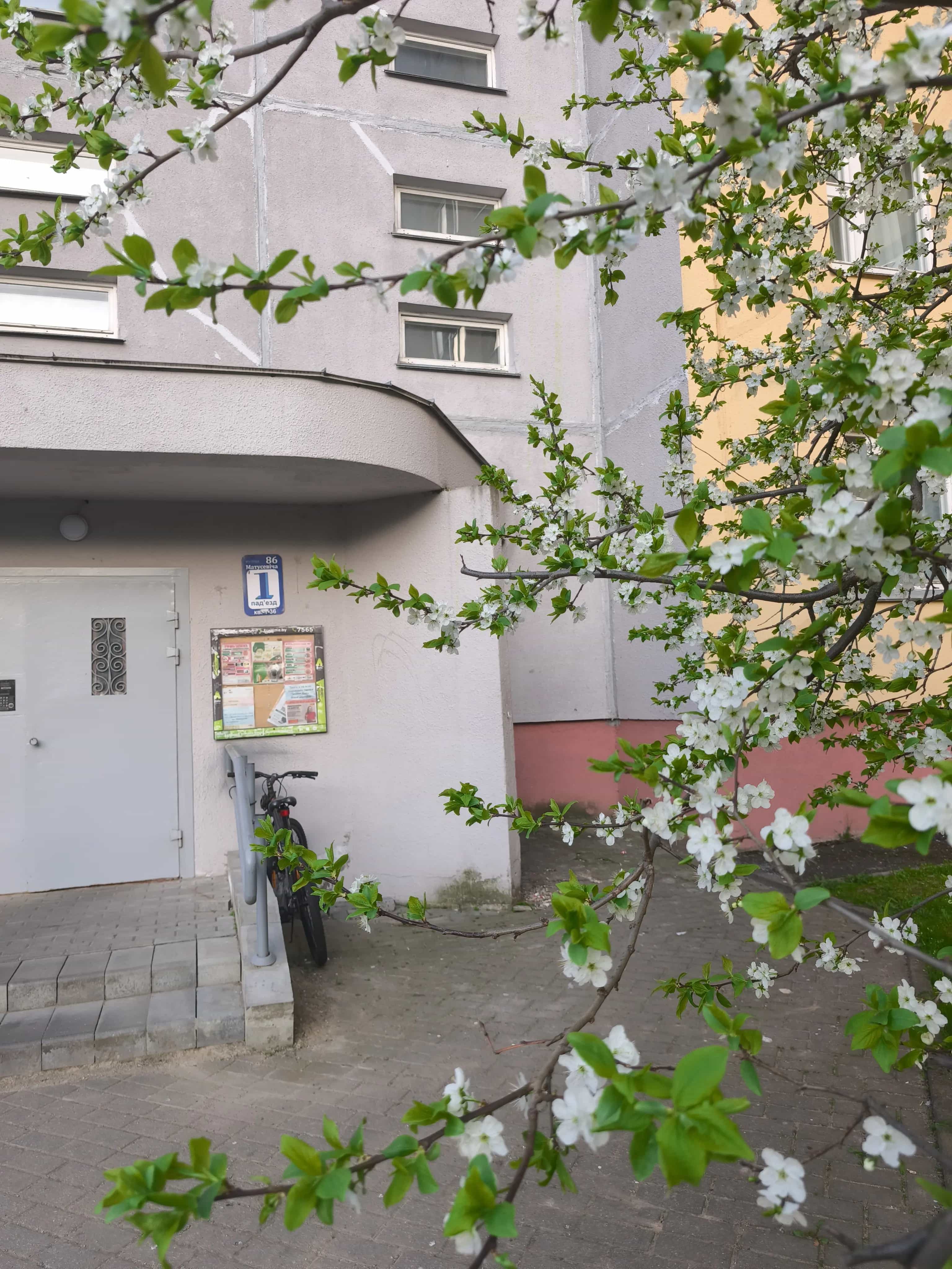 Беларусь, Минск, улица Матусевича, 86, фото 35