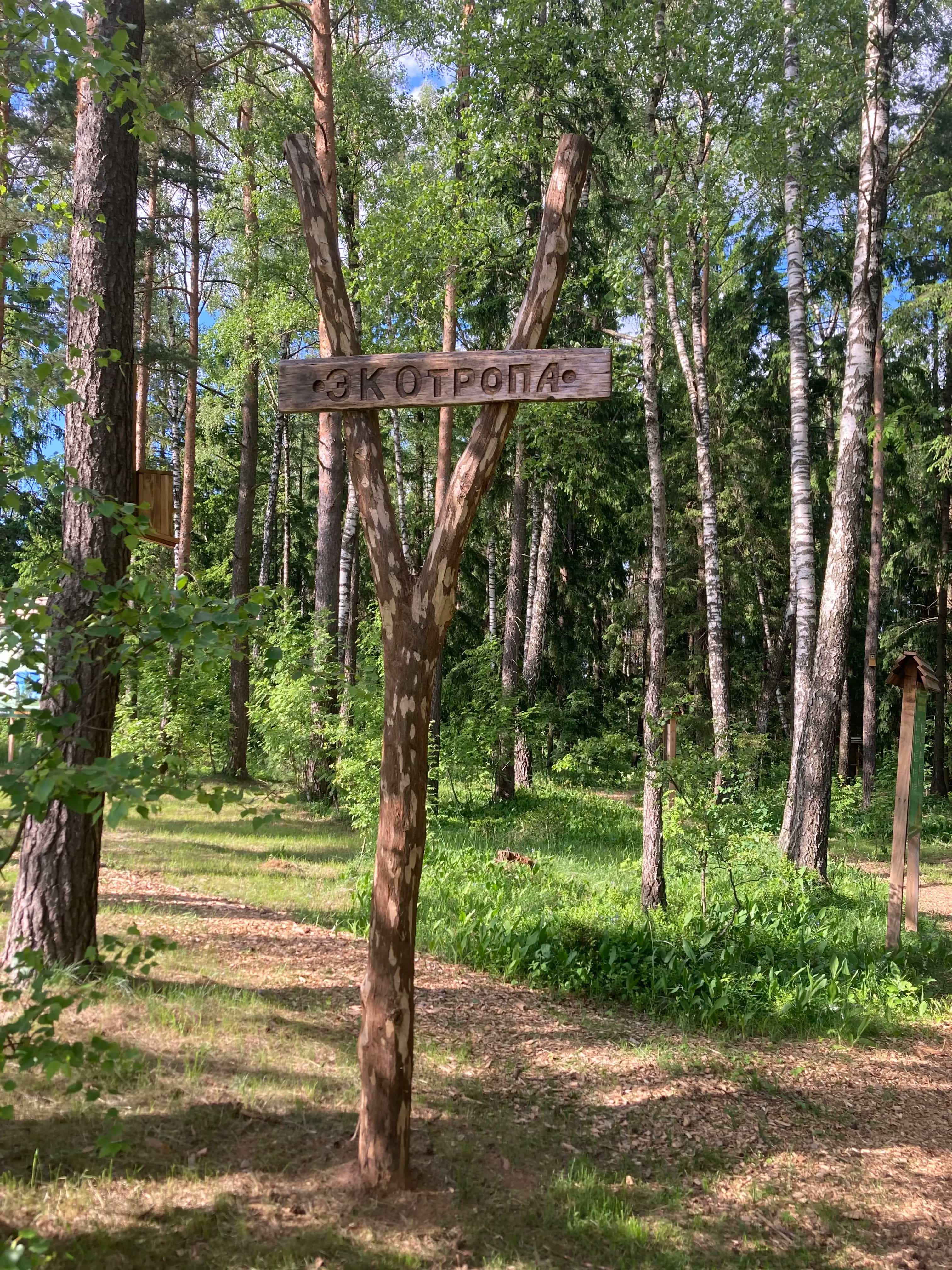 Беларусь, Минский район, деревня Боровляны, Жемчужная улица, 19, фото 9
