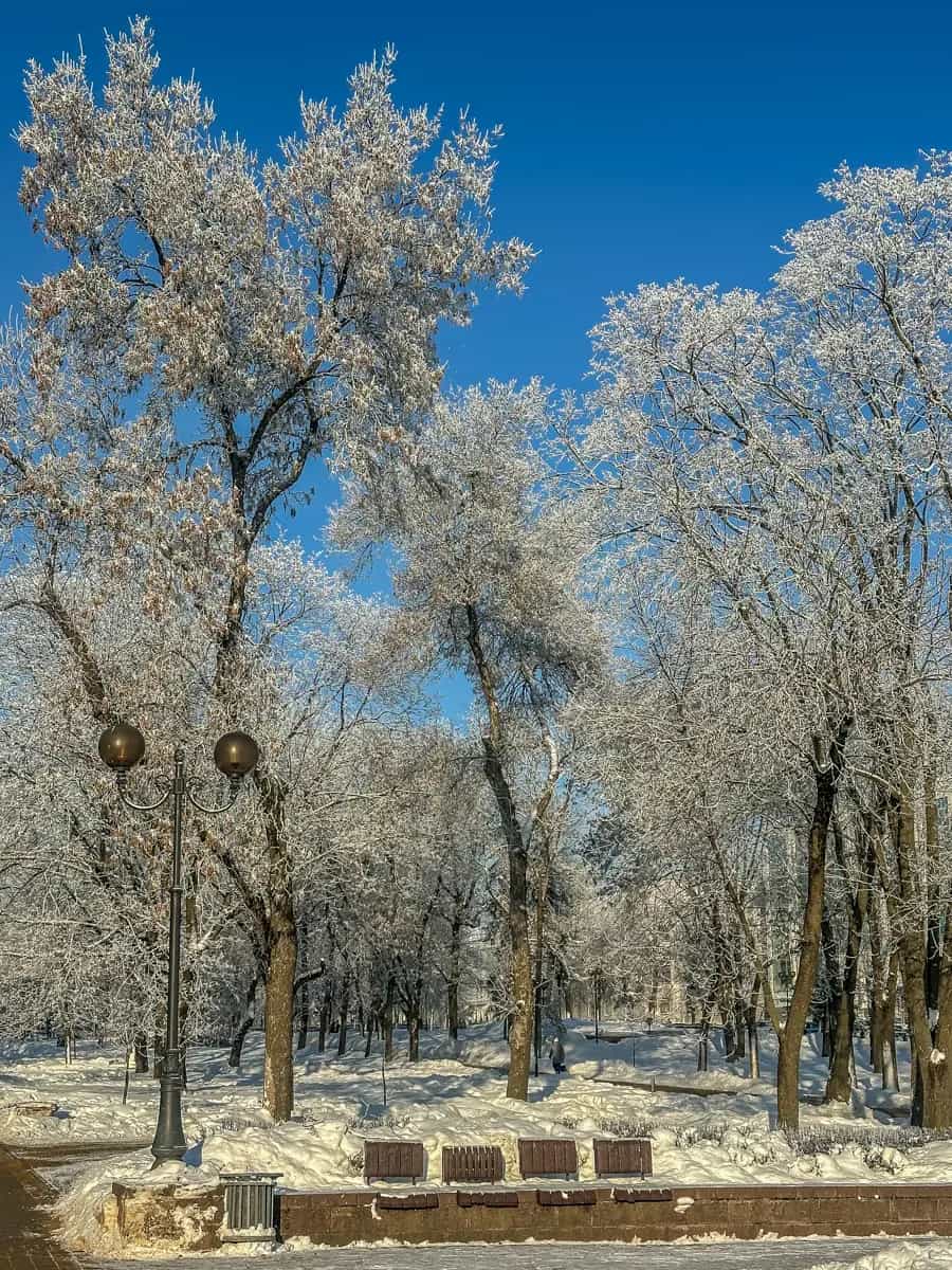 Беларусь, Минск, улица Кузьмы Чорного, 31, фото 43