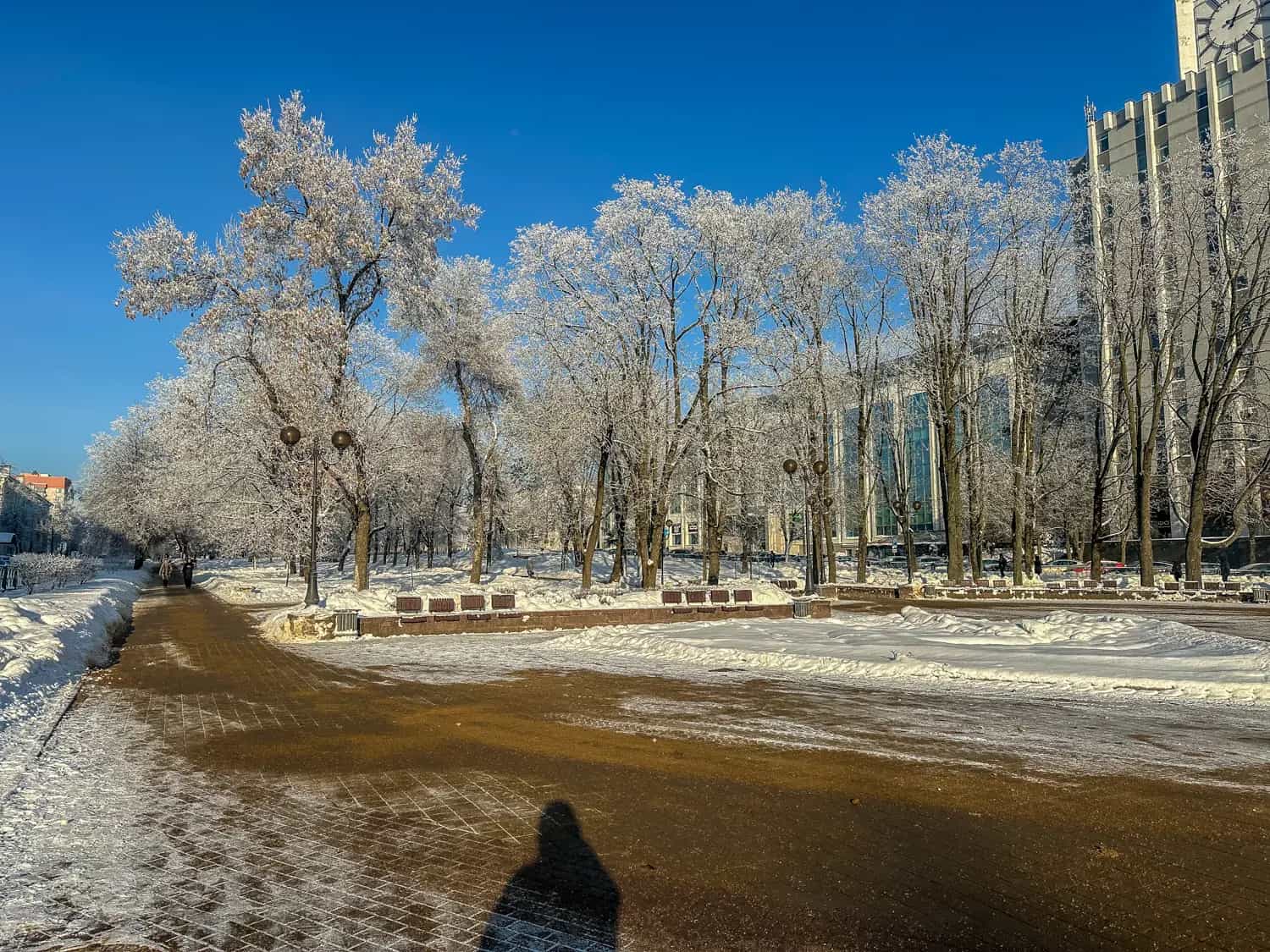 Беларусь, Минск, улица Кузьмы Чорного, 31, фото 45