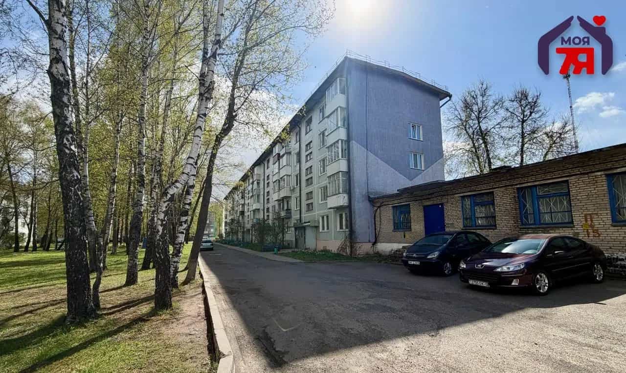 Беларусь, Минская область, Слуцк, Социалистическая улица, 146, фото 17