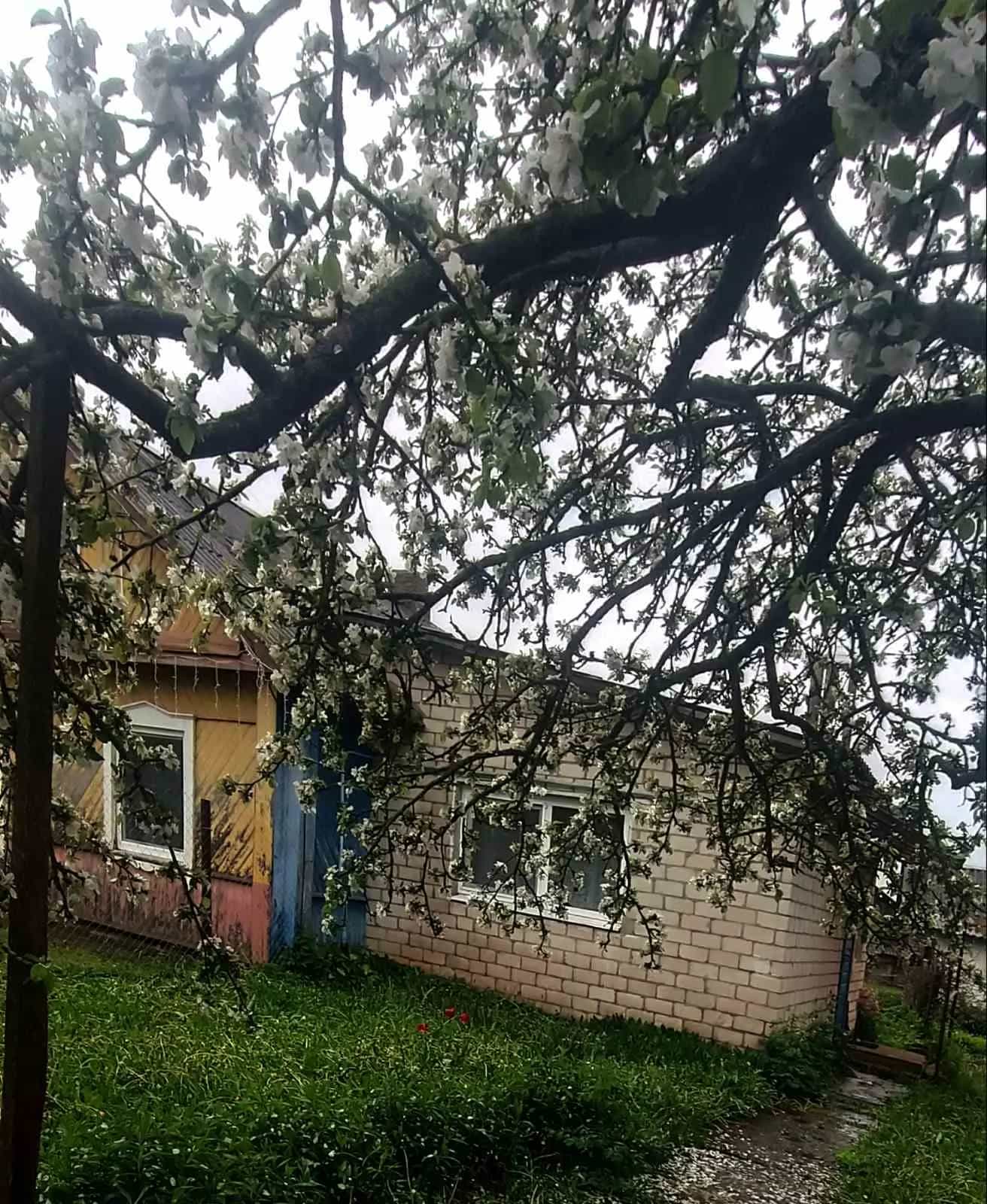 Беларусь, Минская область, Узда, улица Победа, 12, фото 2