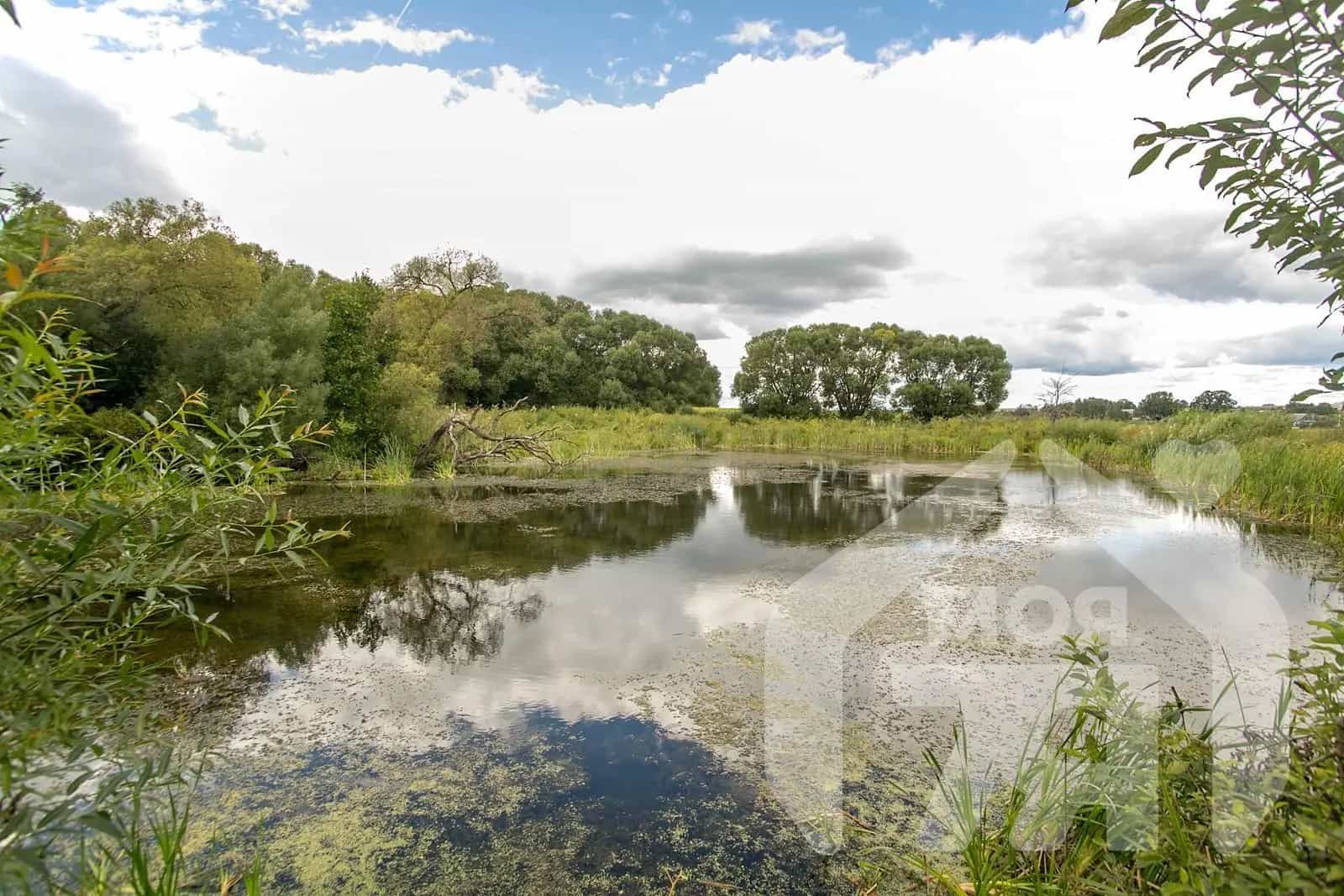 Беларусь, Минская область, Вилейский район, Кривосельский сельсовет, деревня Косута, Солнечная улица, 8, фото 7