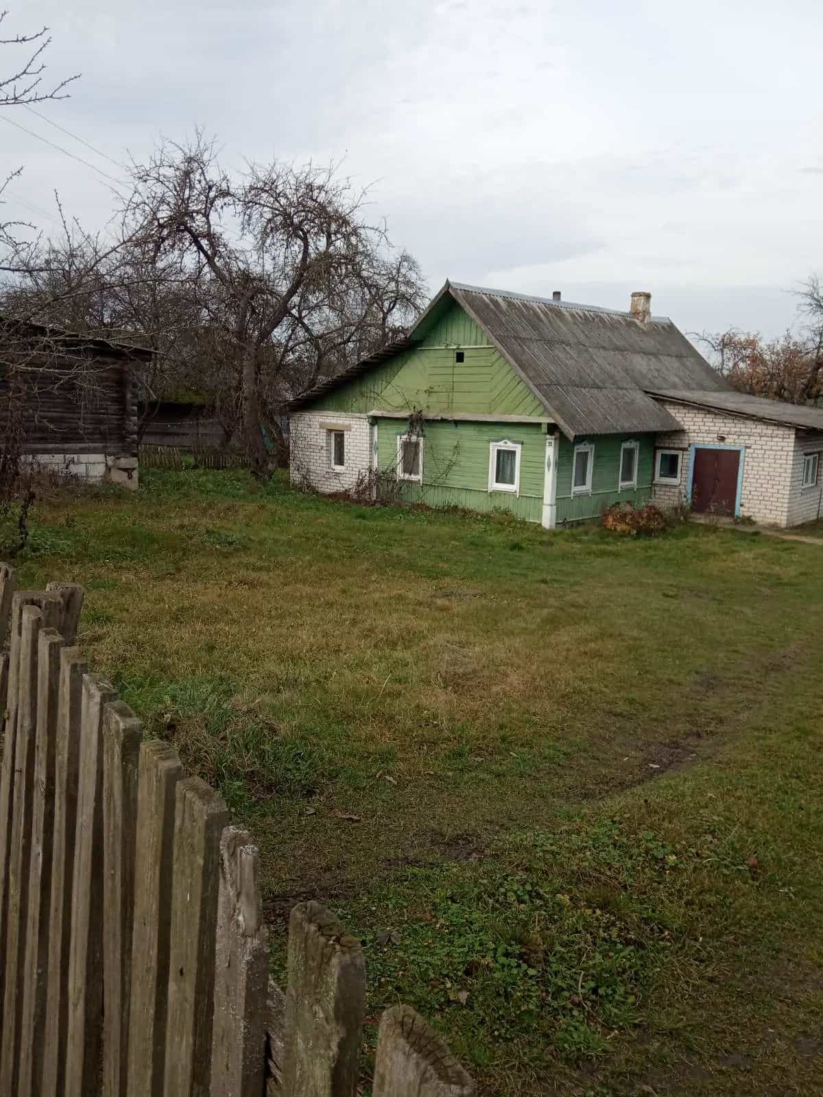 Беларусь, Брестская область, Пружанский район, Ружанский сельсовет, агрогородок Ворониловичи, улица Урбановича, 59