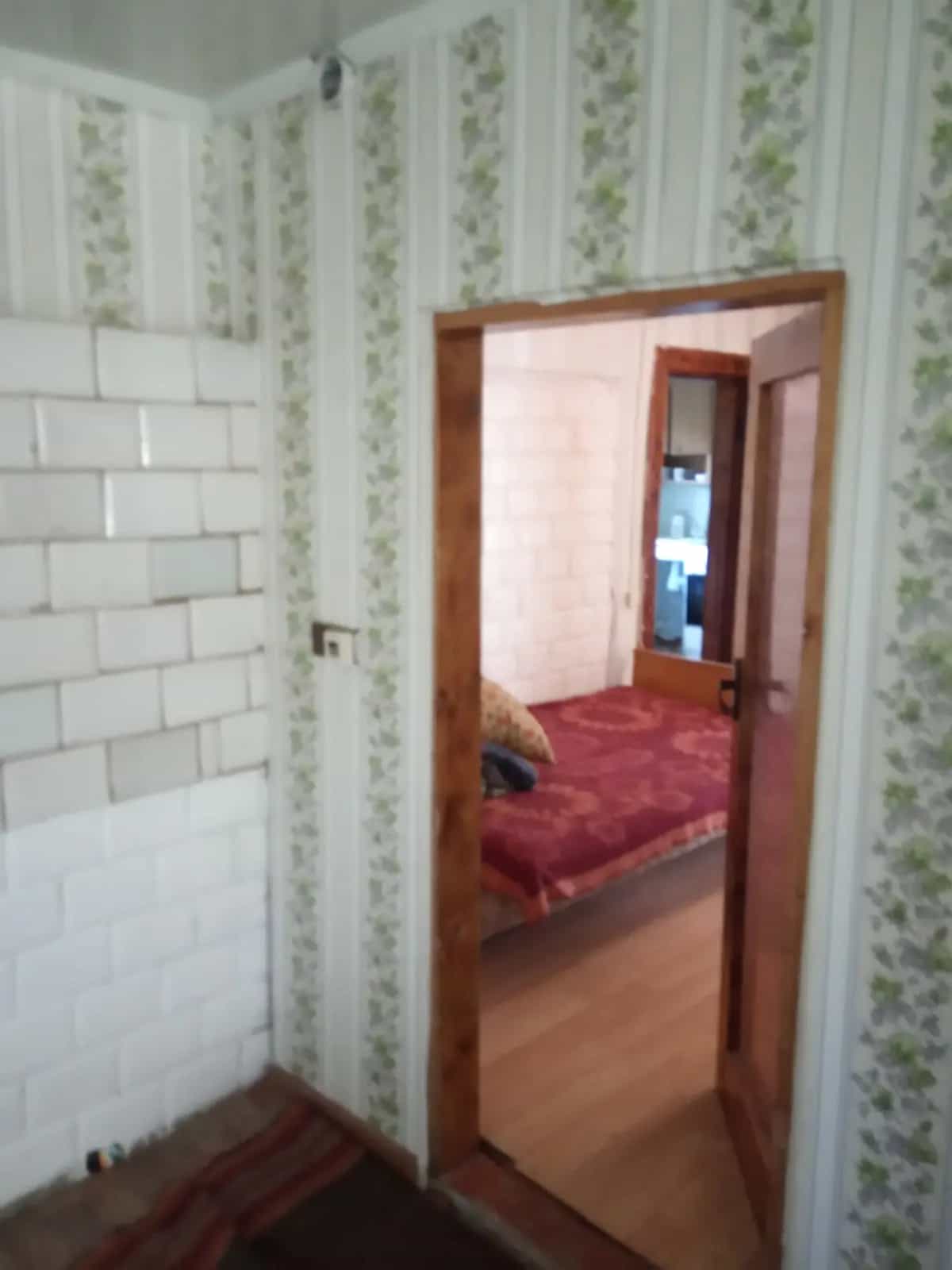 Беларусь, Брестская область, Пружанский район, Ружанский сельсовет, агрогородок Ворониловичи, улица Урбановича, 59, фото 3